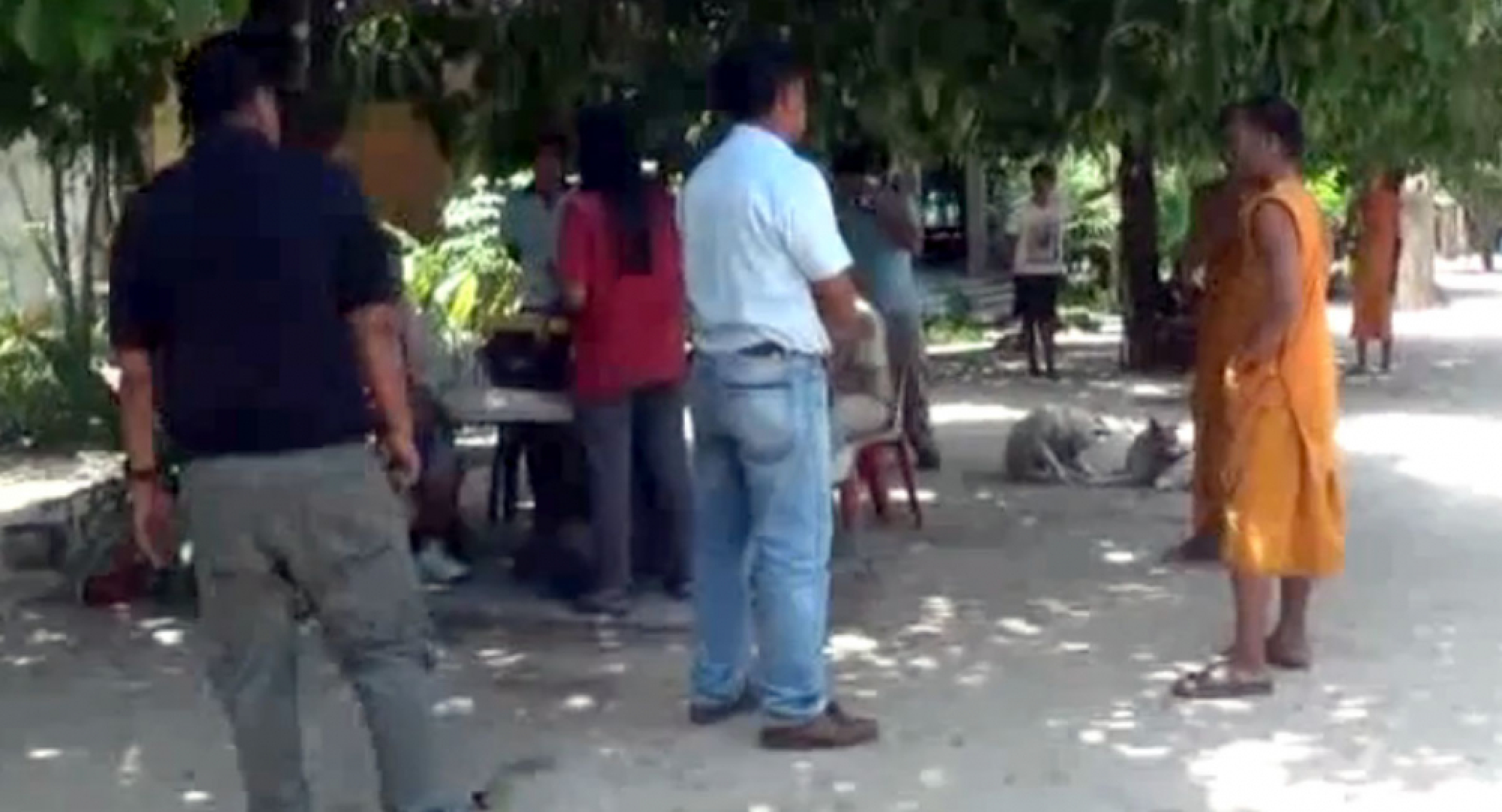 Canine parvovirus arrives on heels of rabies in Nakhon Si Thammarat