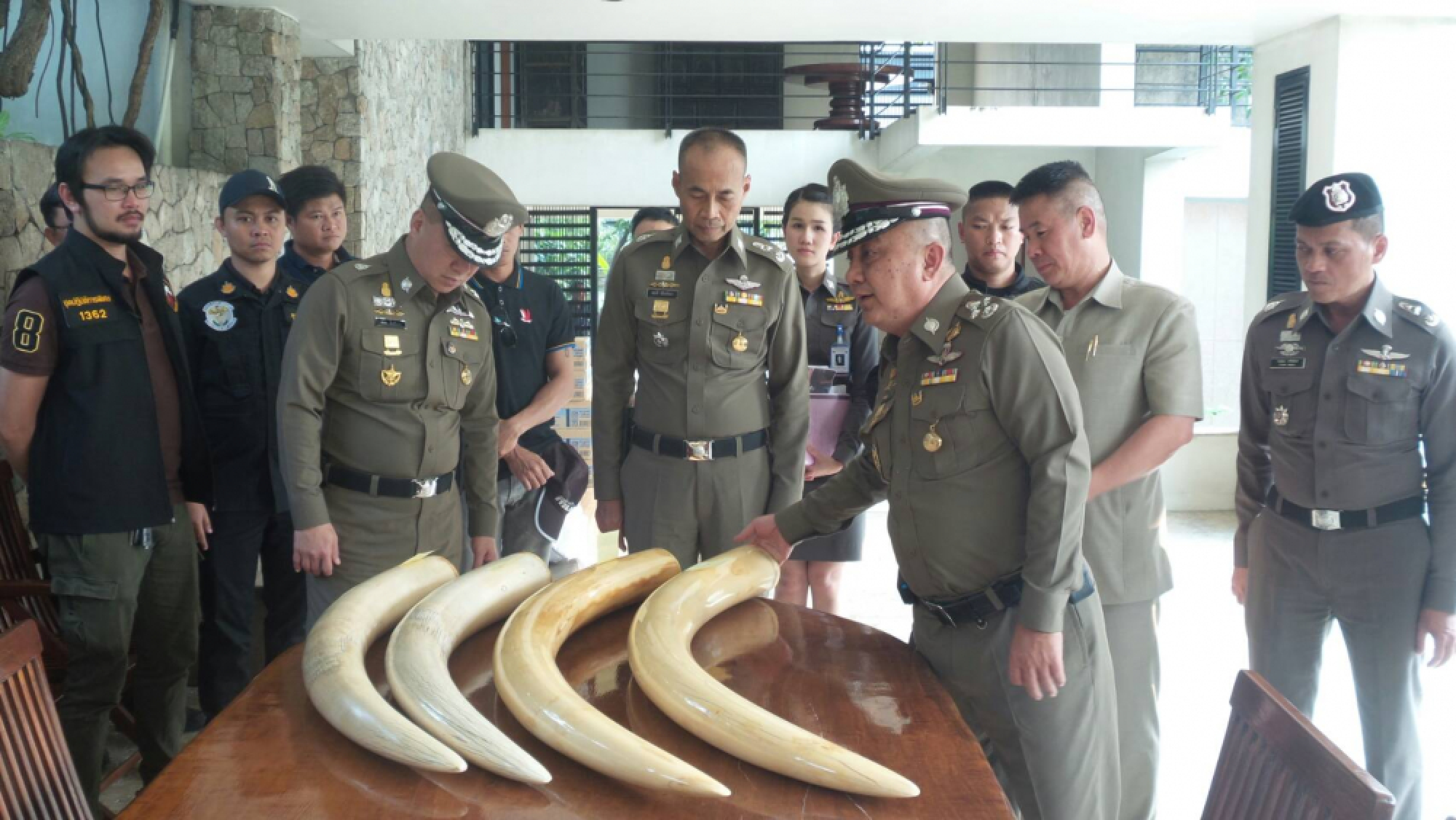 Premchai's wife charged with filing false information on tusks