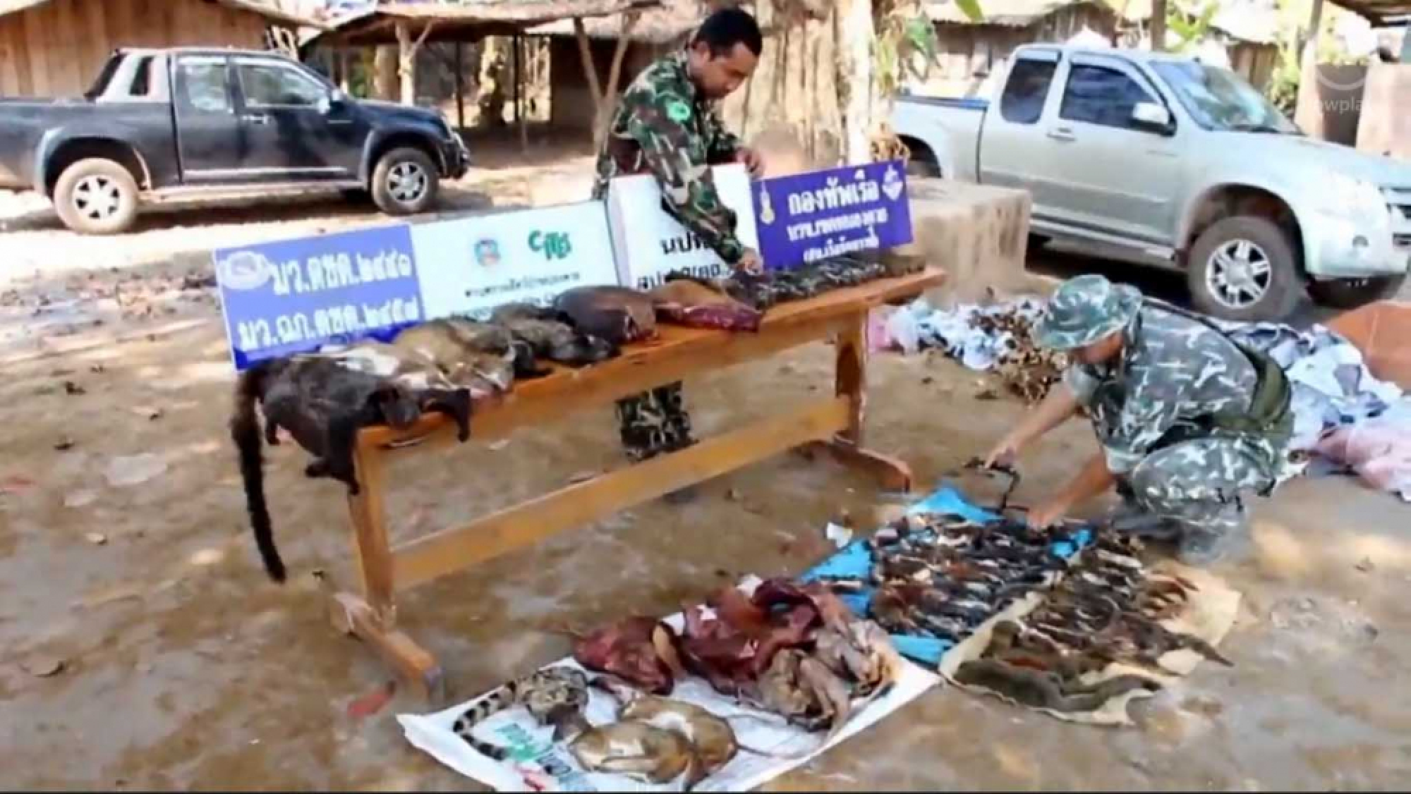 Wild animal carcasses found at Nong Khai market