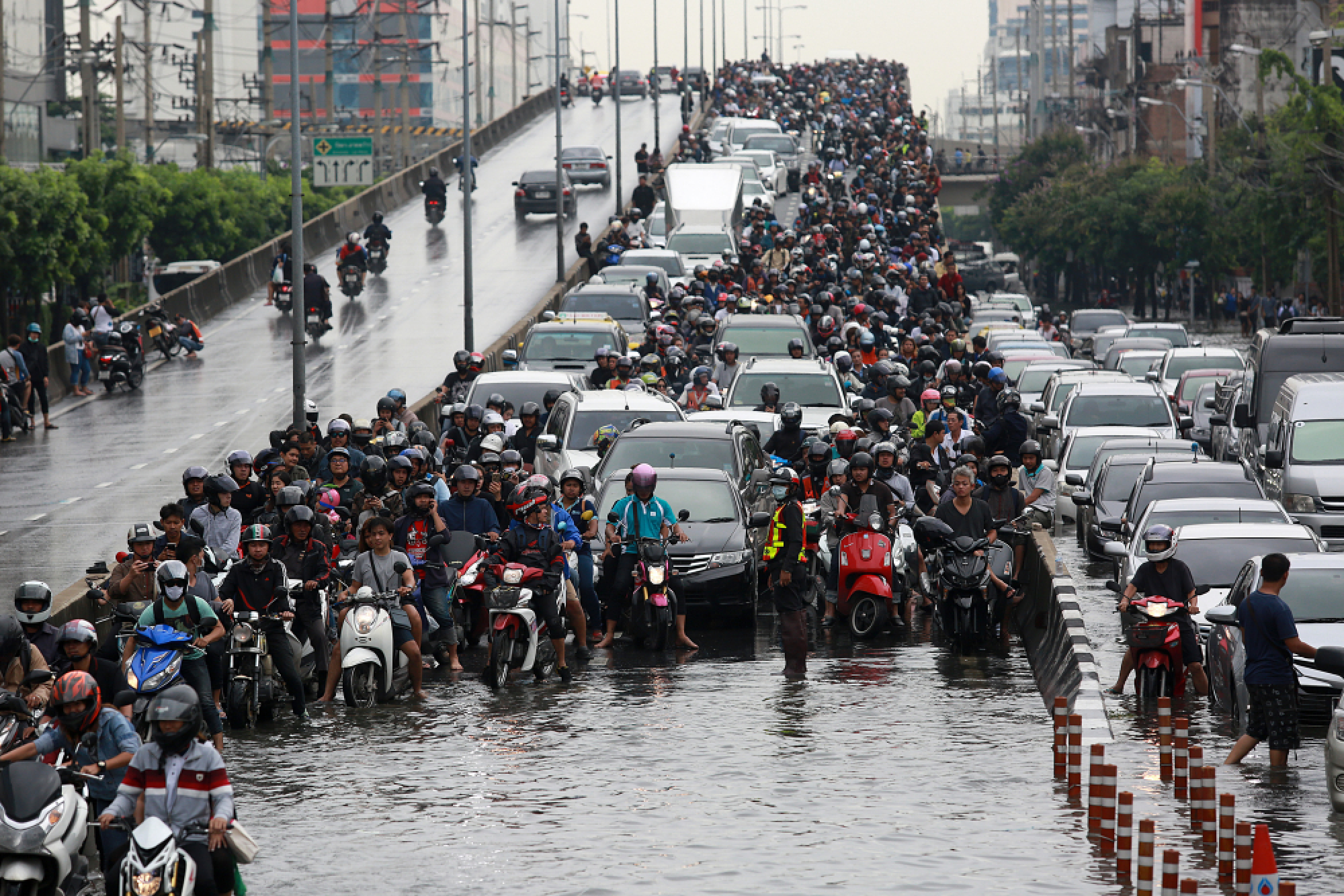 ‘Kom Chad Luek’ wins journalism award for report on pig farms