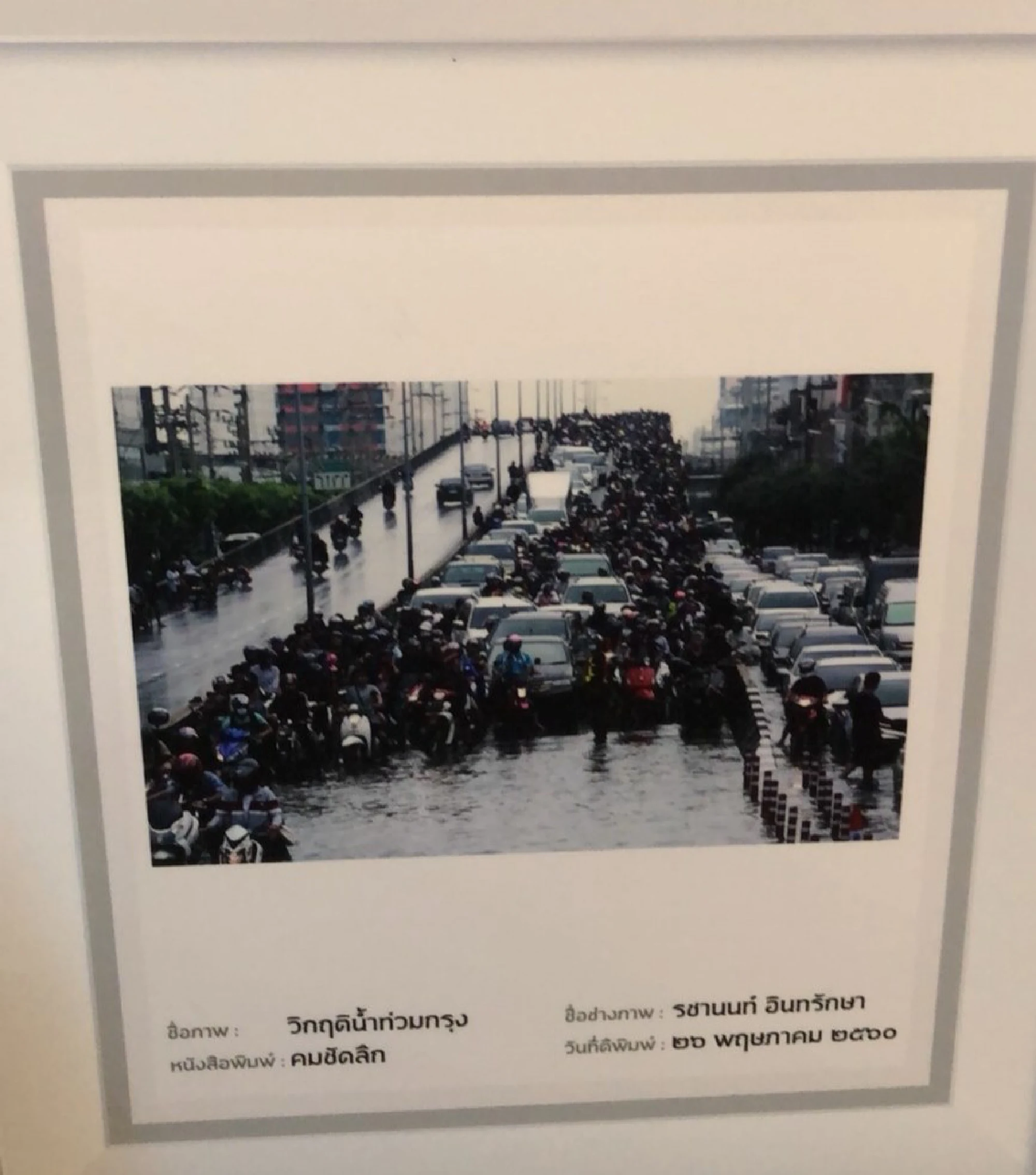 ‘Kom Chad Luek’ wins journalism award for report on pig farms