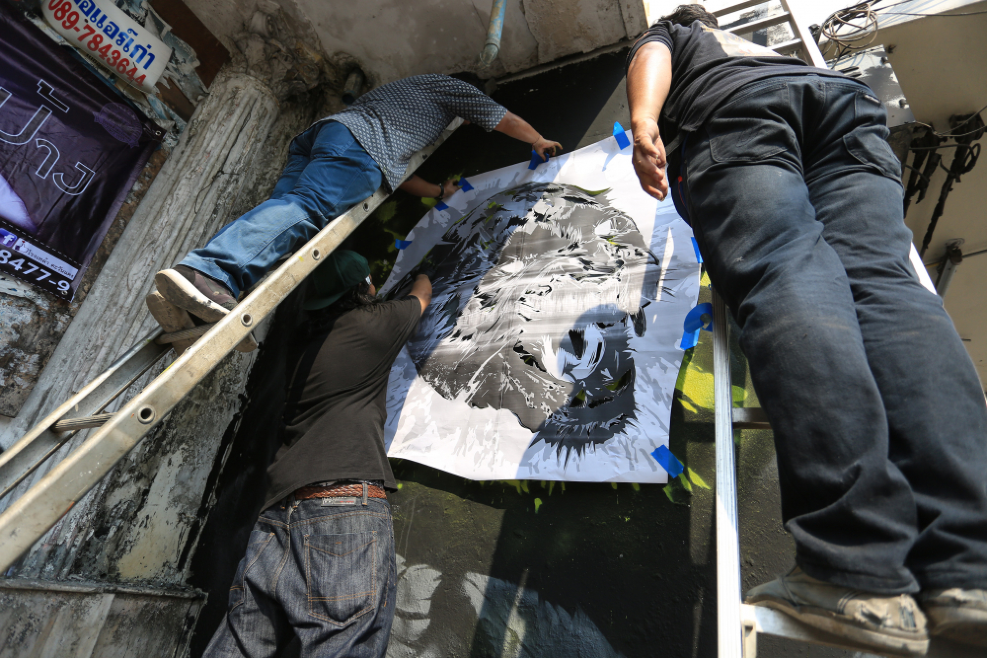 Panther stalks Italian-Thai offices