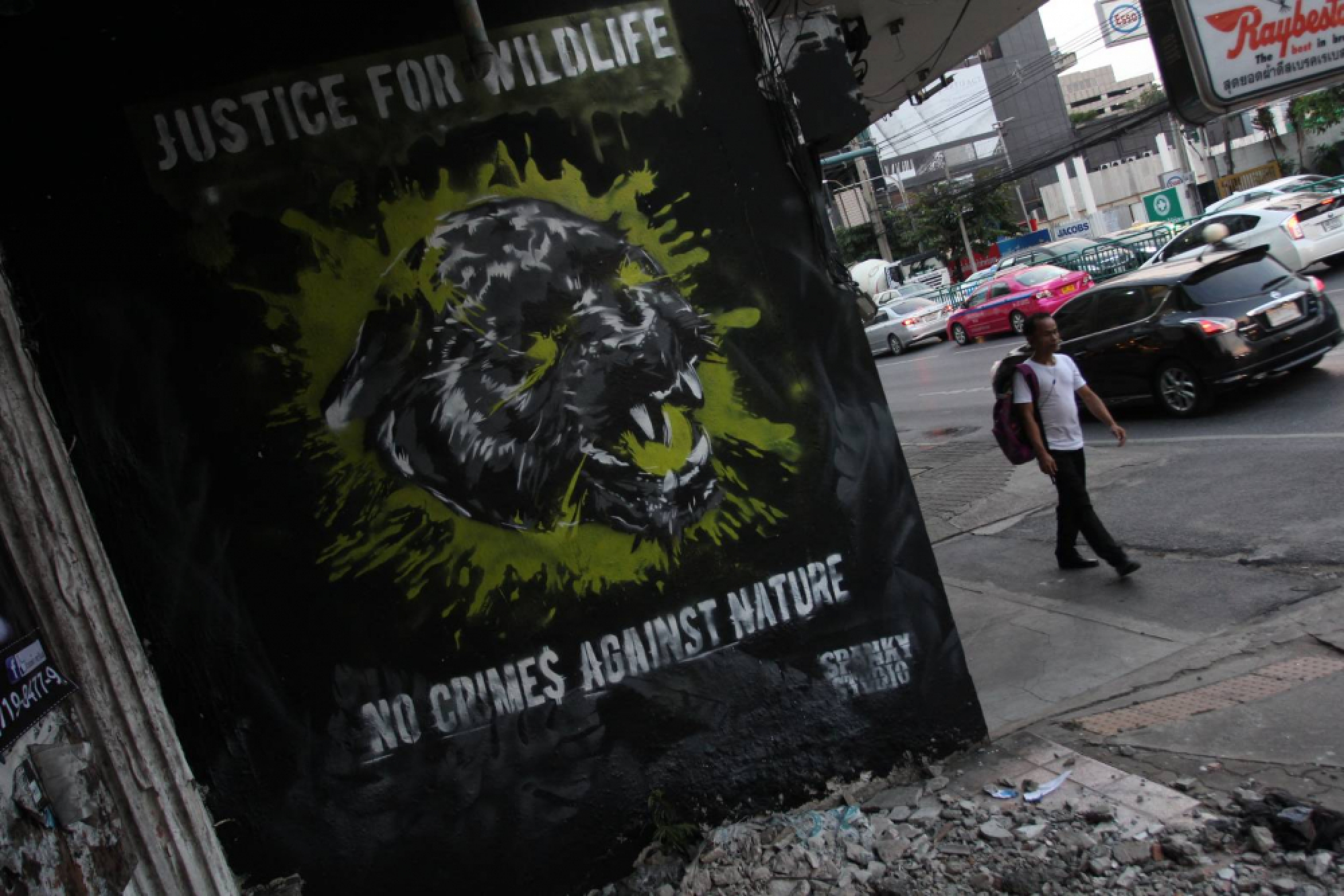 Panther stalks Italian-Thai offices