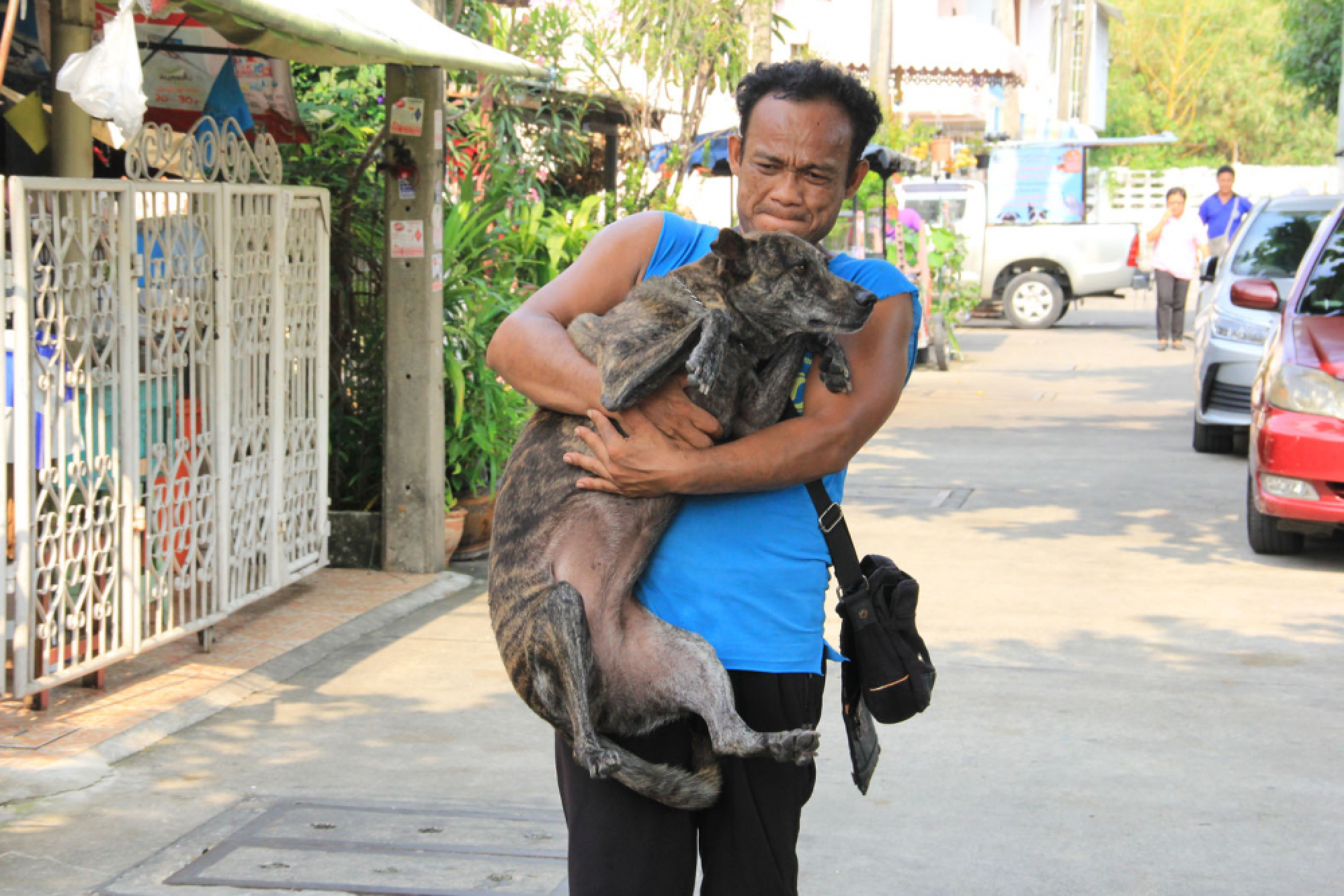 Rabies warning nationwide as infection rates ‘much worse’ than before