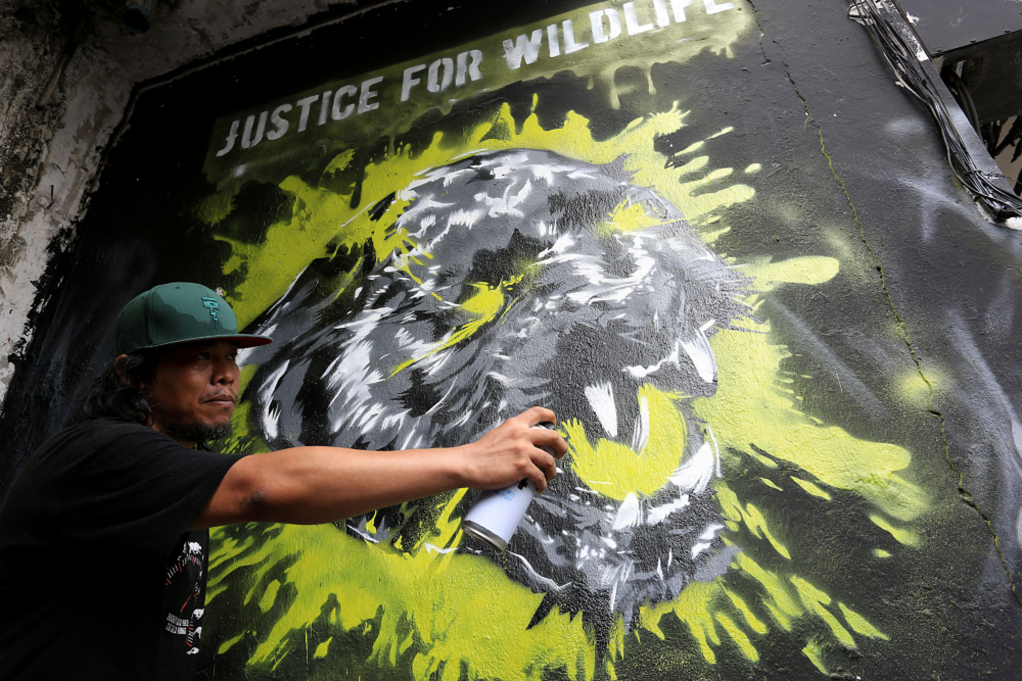 Panther stalks Italian-Thai offices