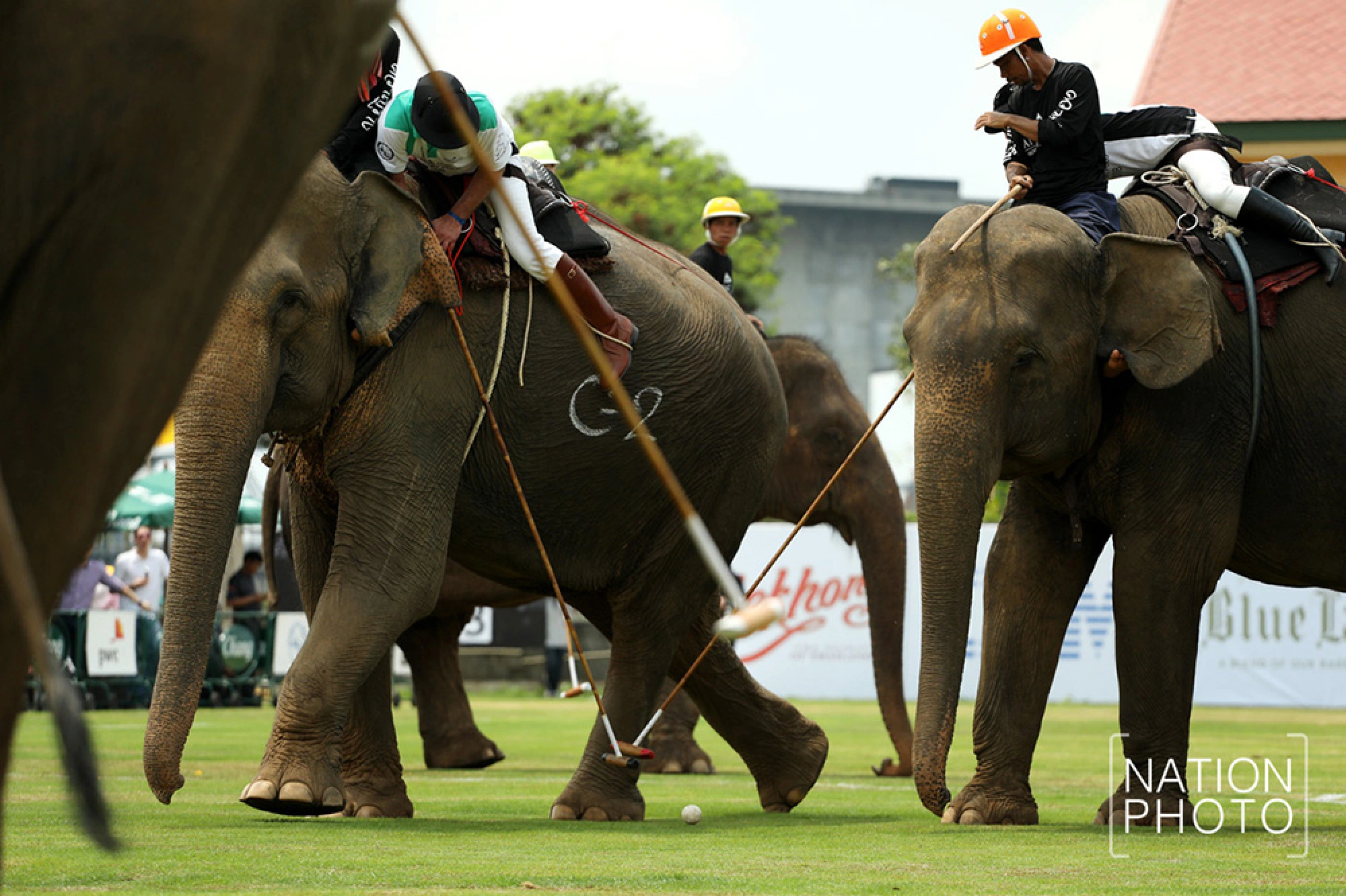 King’s Cup Elephant Polo  kick off in style