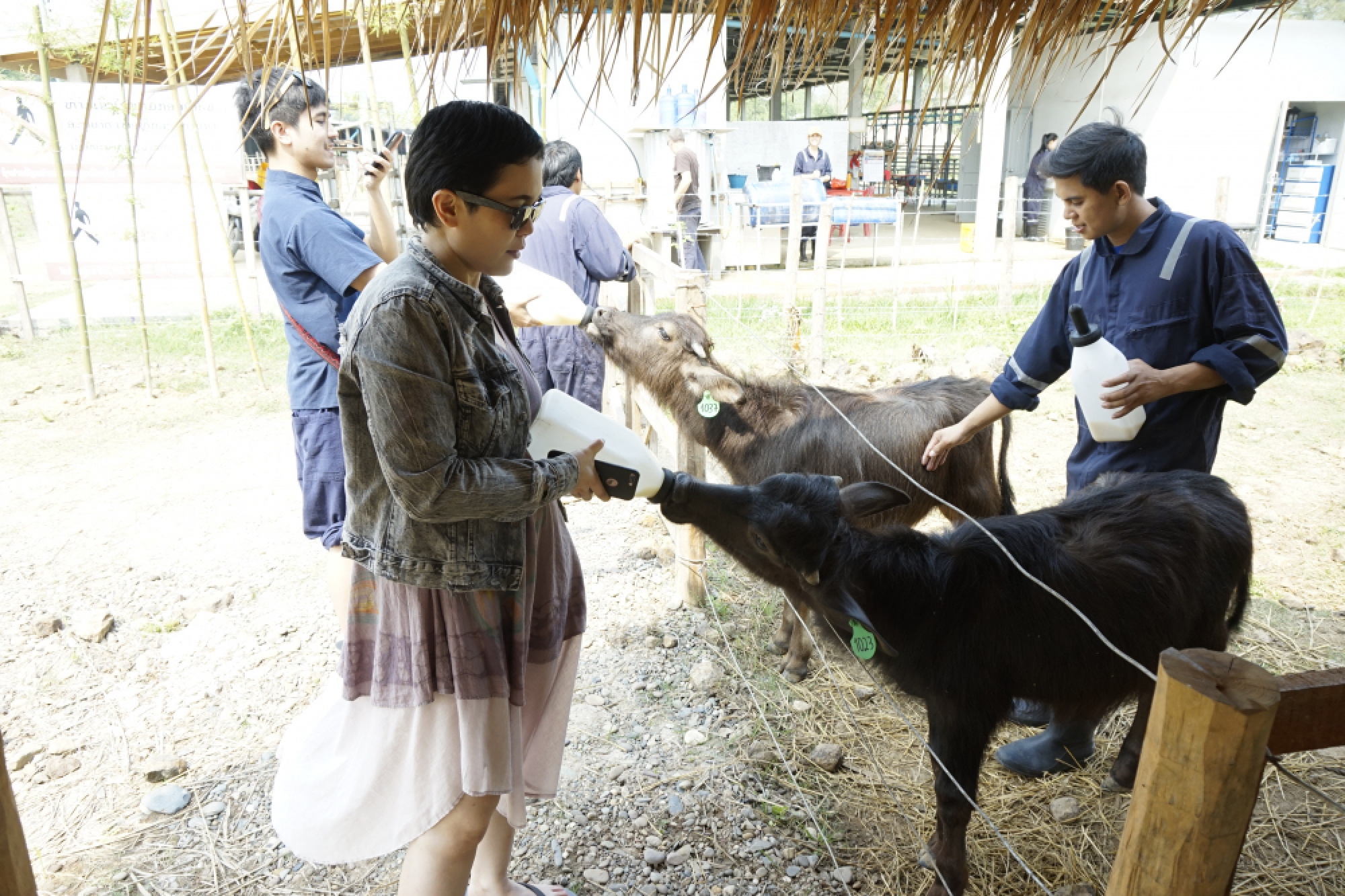 Making the most of Luang Prabang