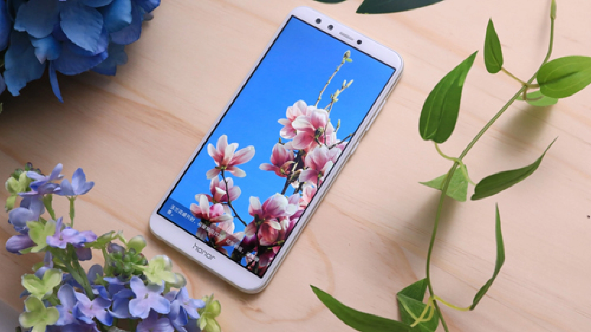 All honours to the Honor