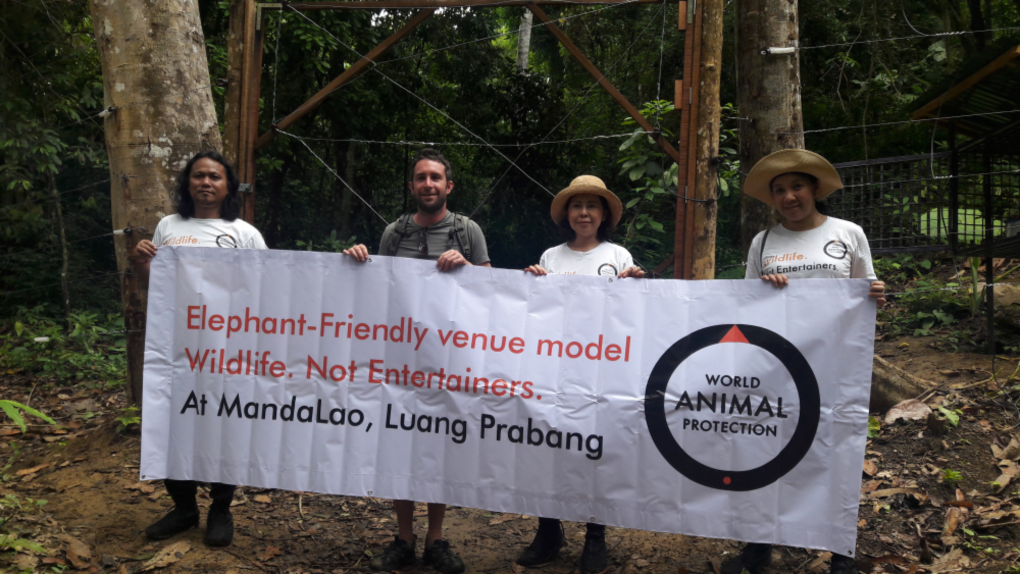 Luang Prabang – a pachyderm paradise 