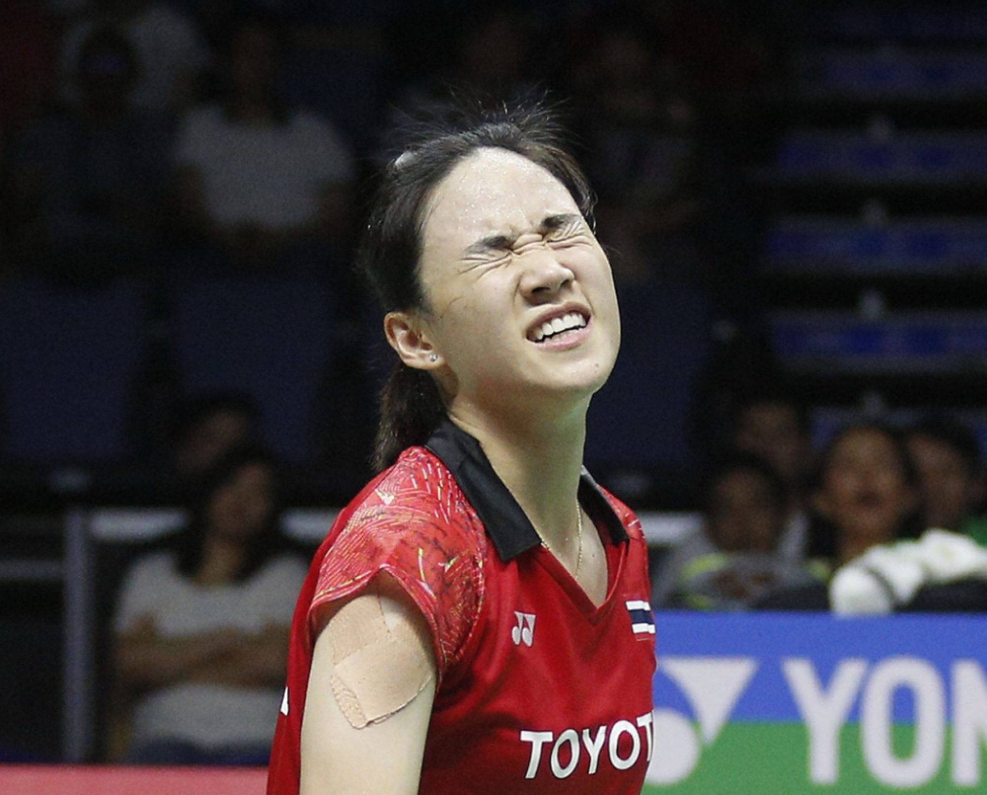 Thais trip up at the final hurdle