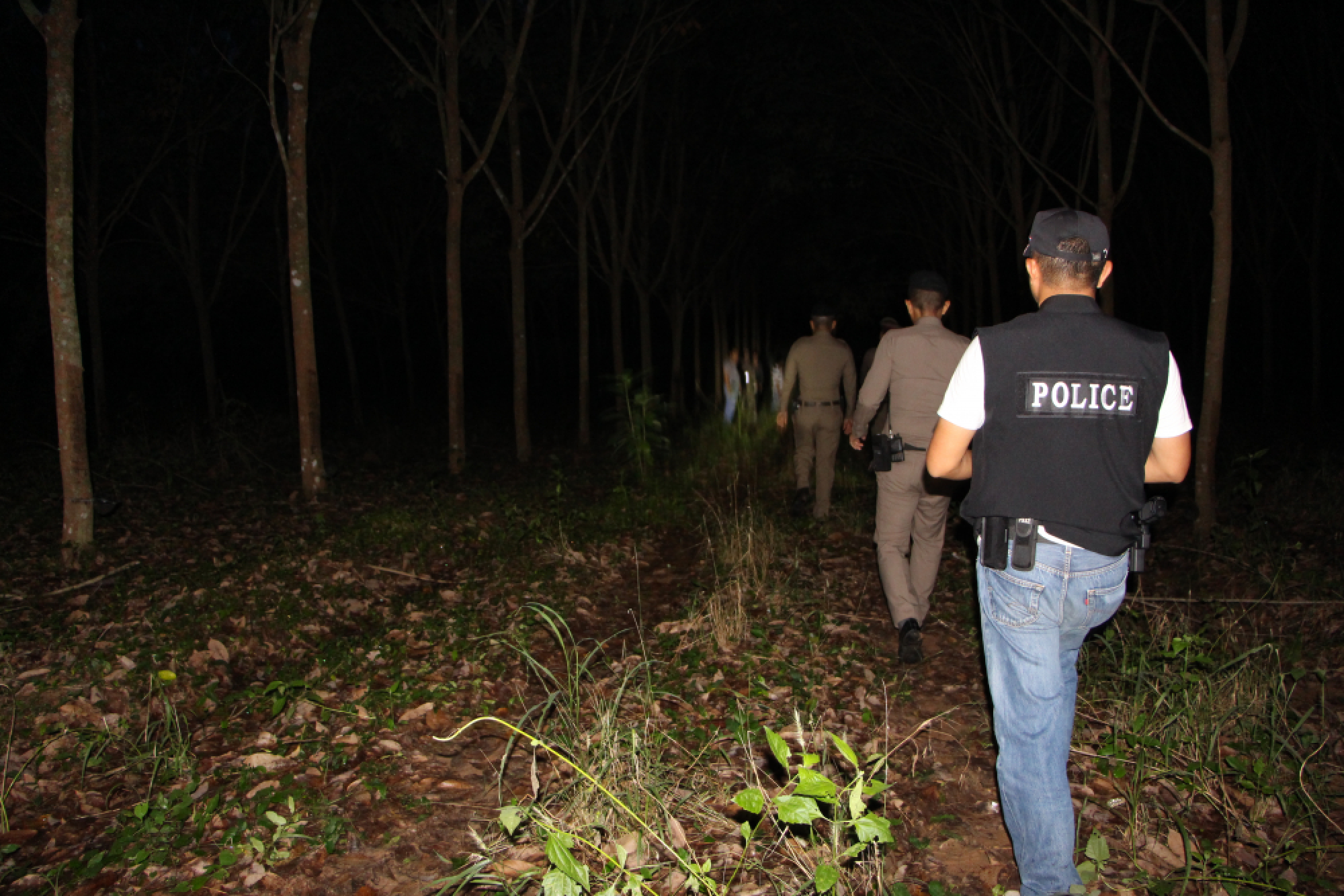 Wild elephant found dead in Prachuap Khiri Khan