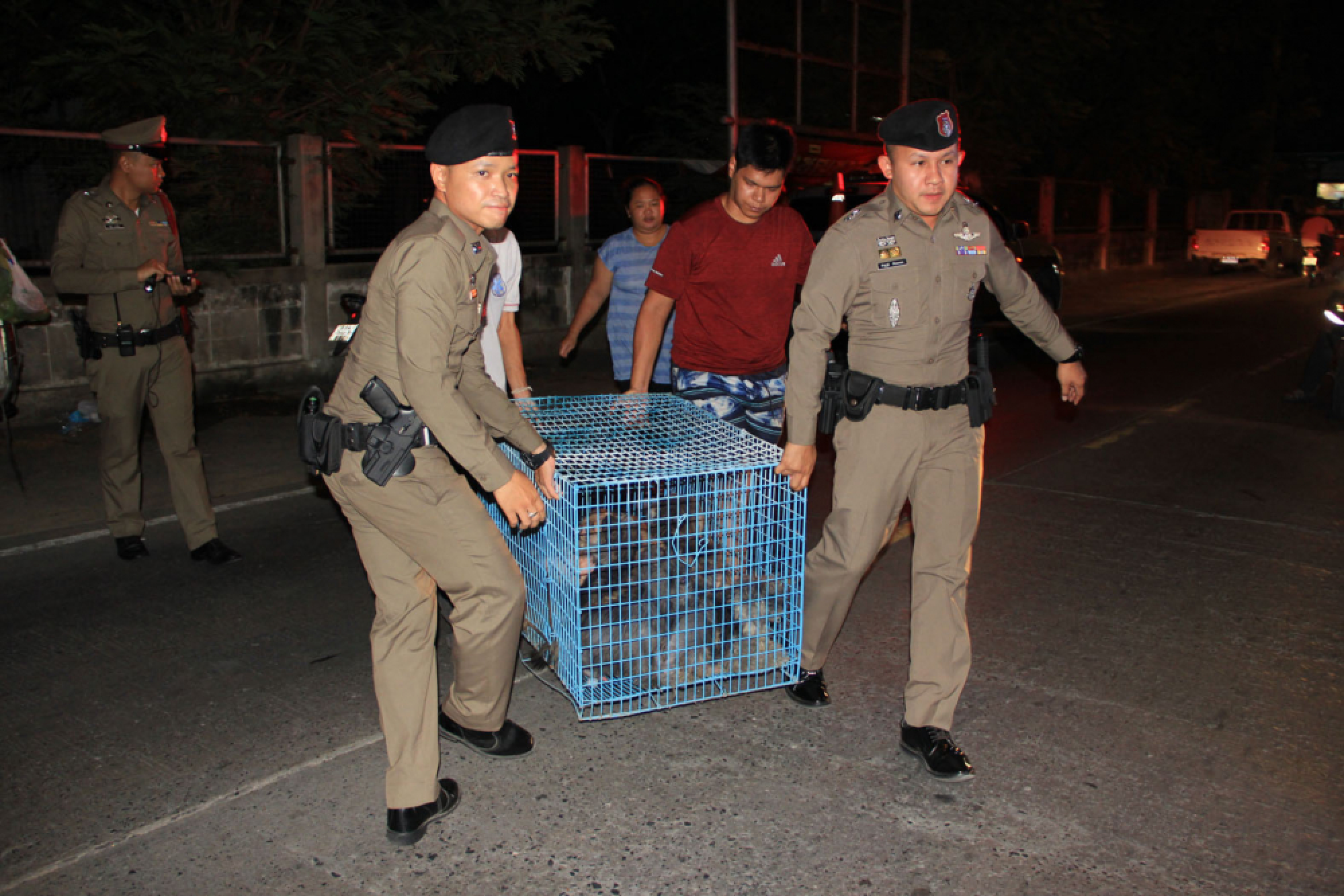 14 dogs and cats left to die in bags in Samut Prakan