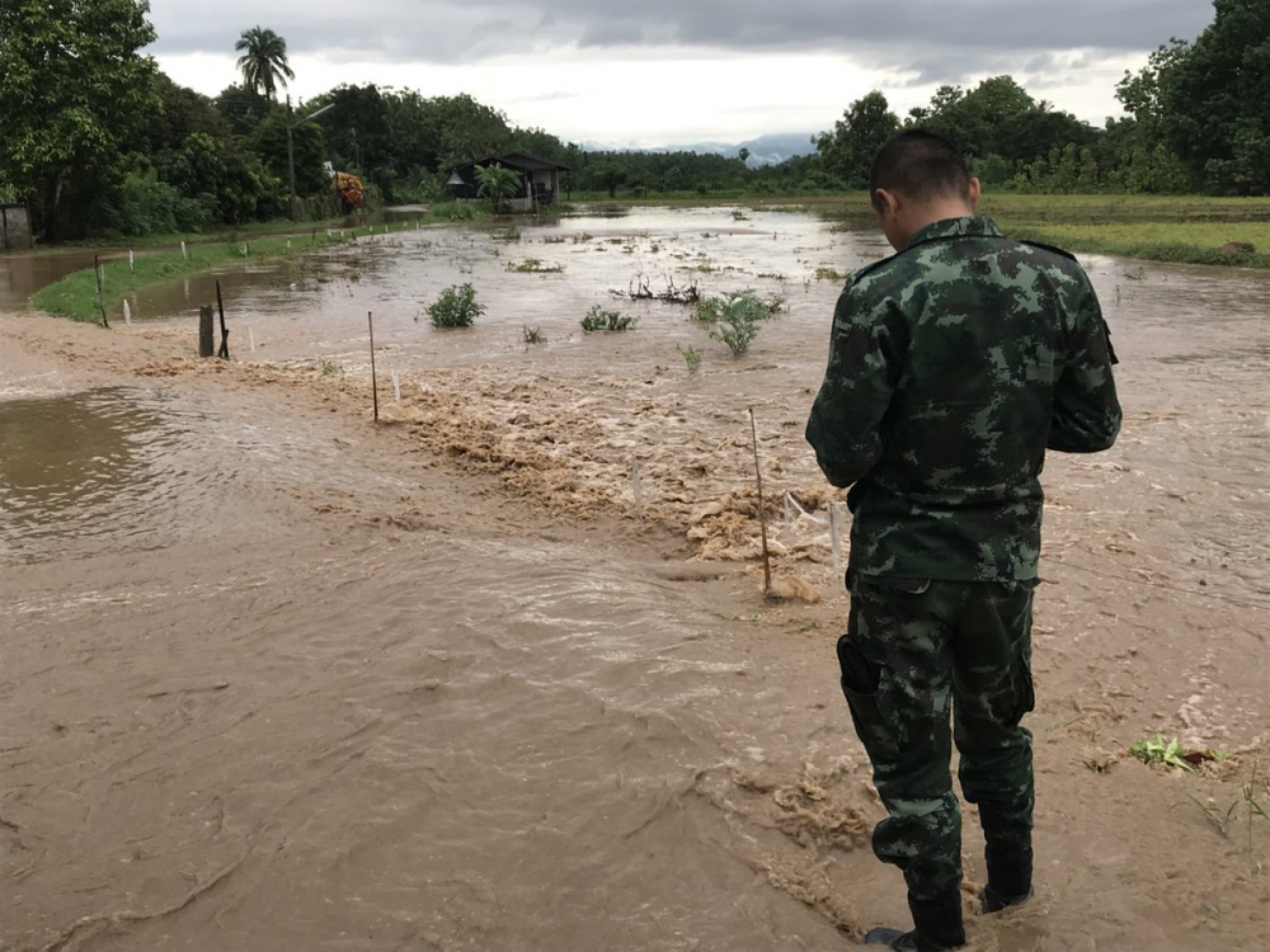 Lampang village flooded as rain, mountain runoff swell canal