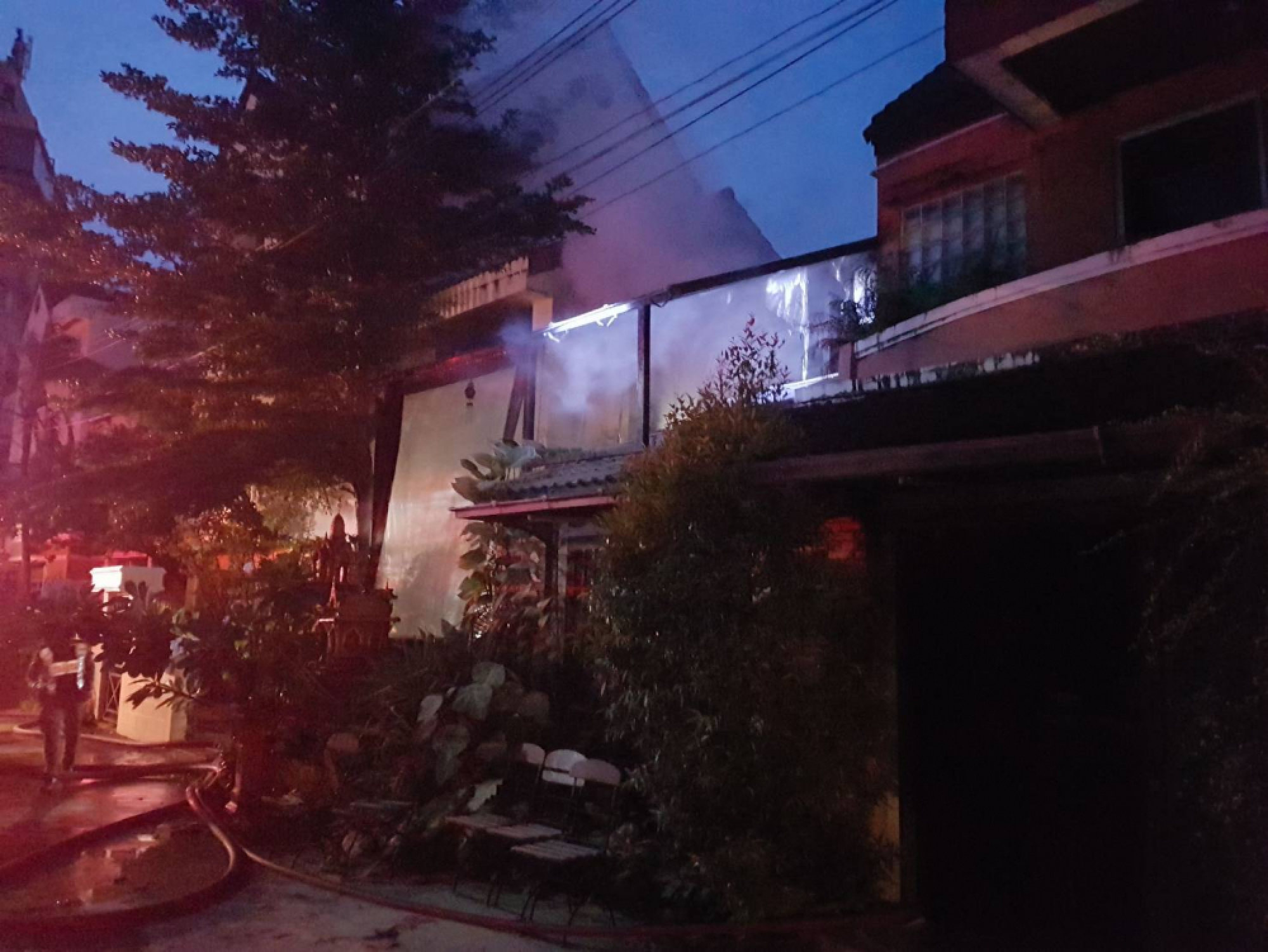 Patong cat saves lives in fire