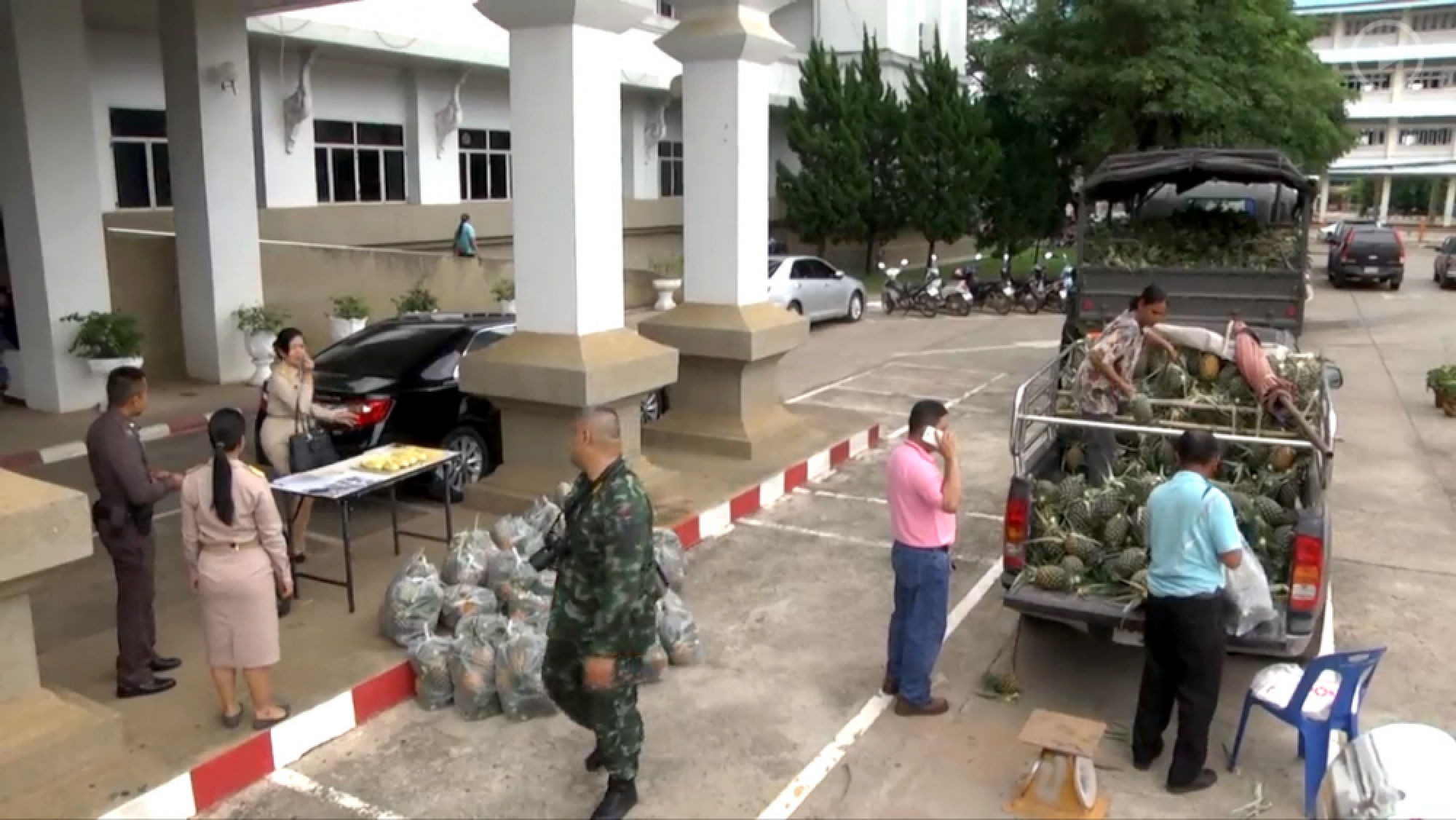 Outlets needed for surplus pineapples in Loei