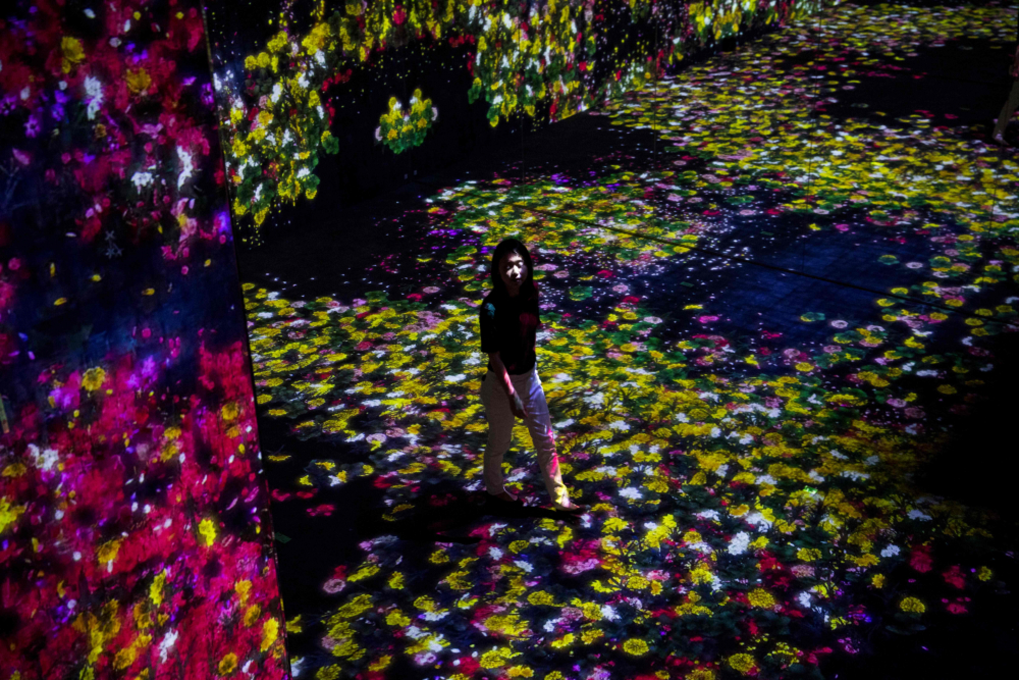 Bringing the outside in