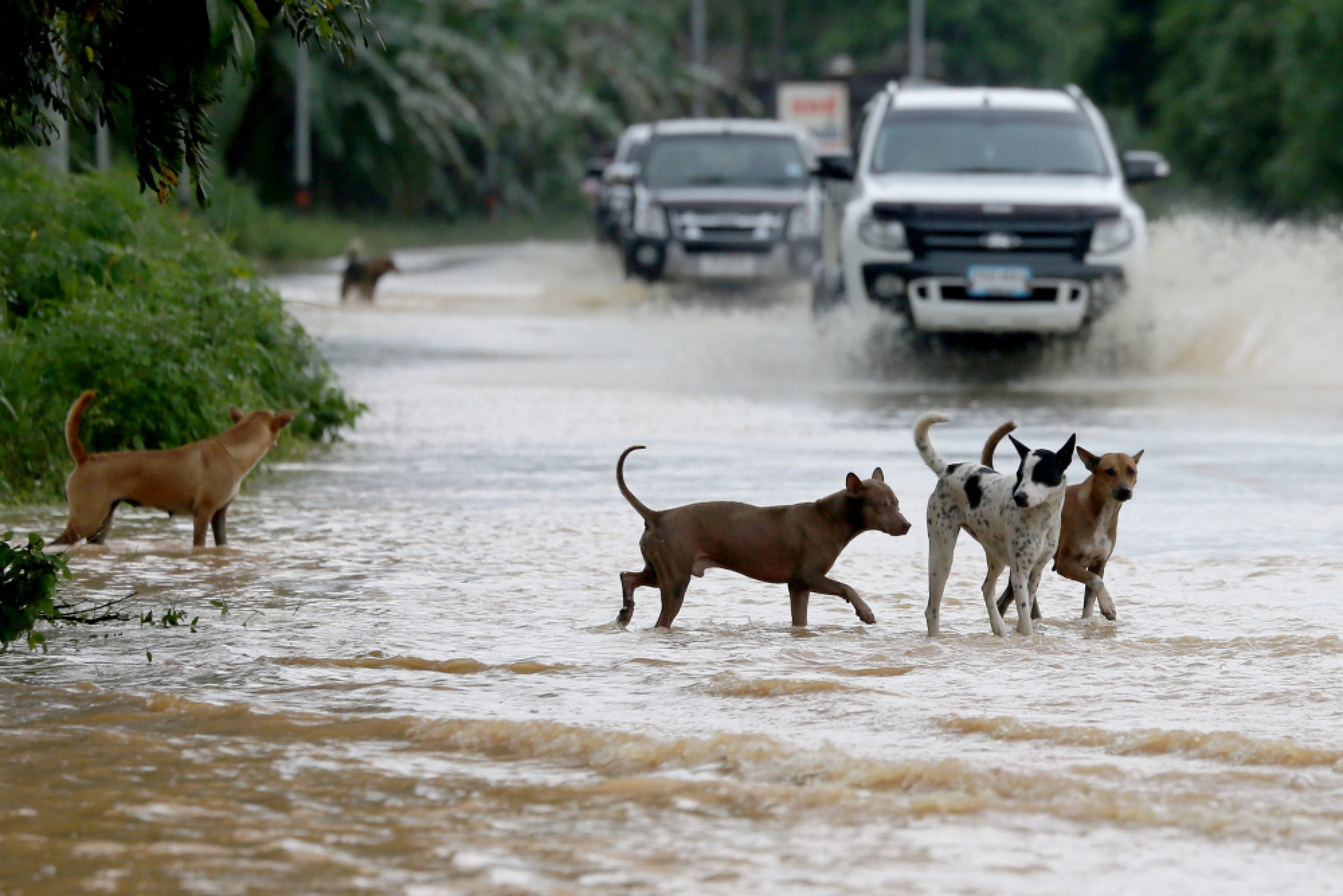Prawit urges military aid for flood-hit southern provinces