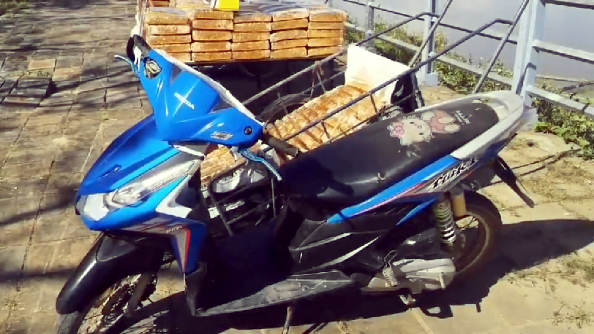 538 kg of marijuana seized in Nakhon Phanom