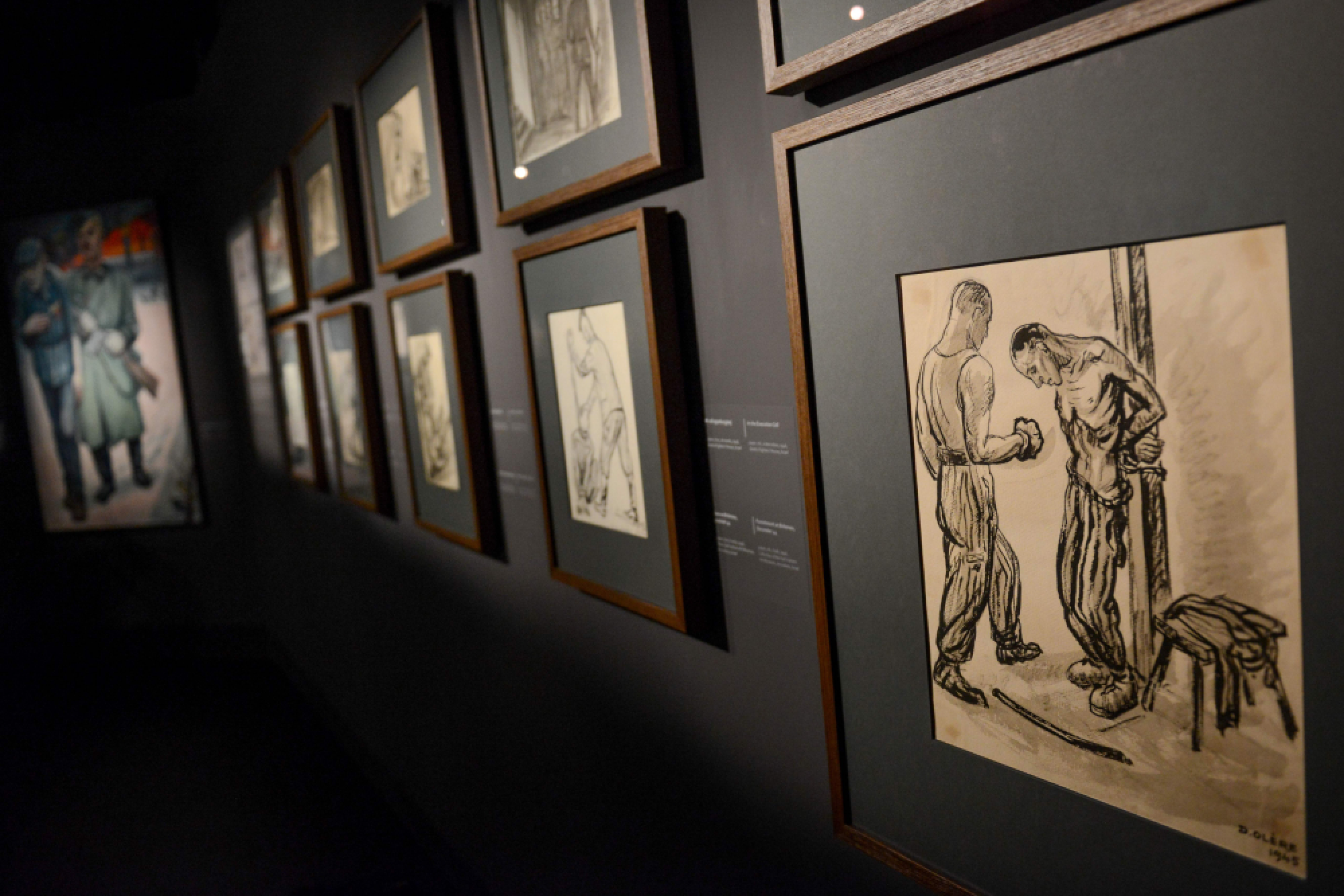 Auschwitz in all its raw horror