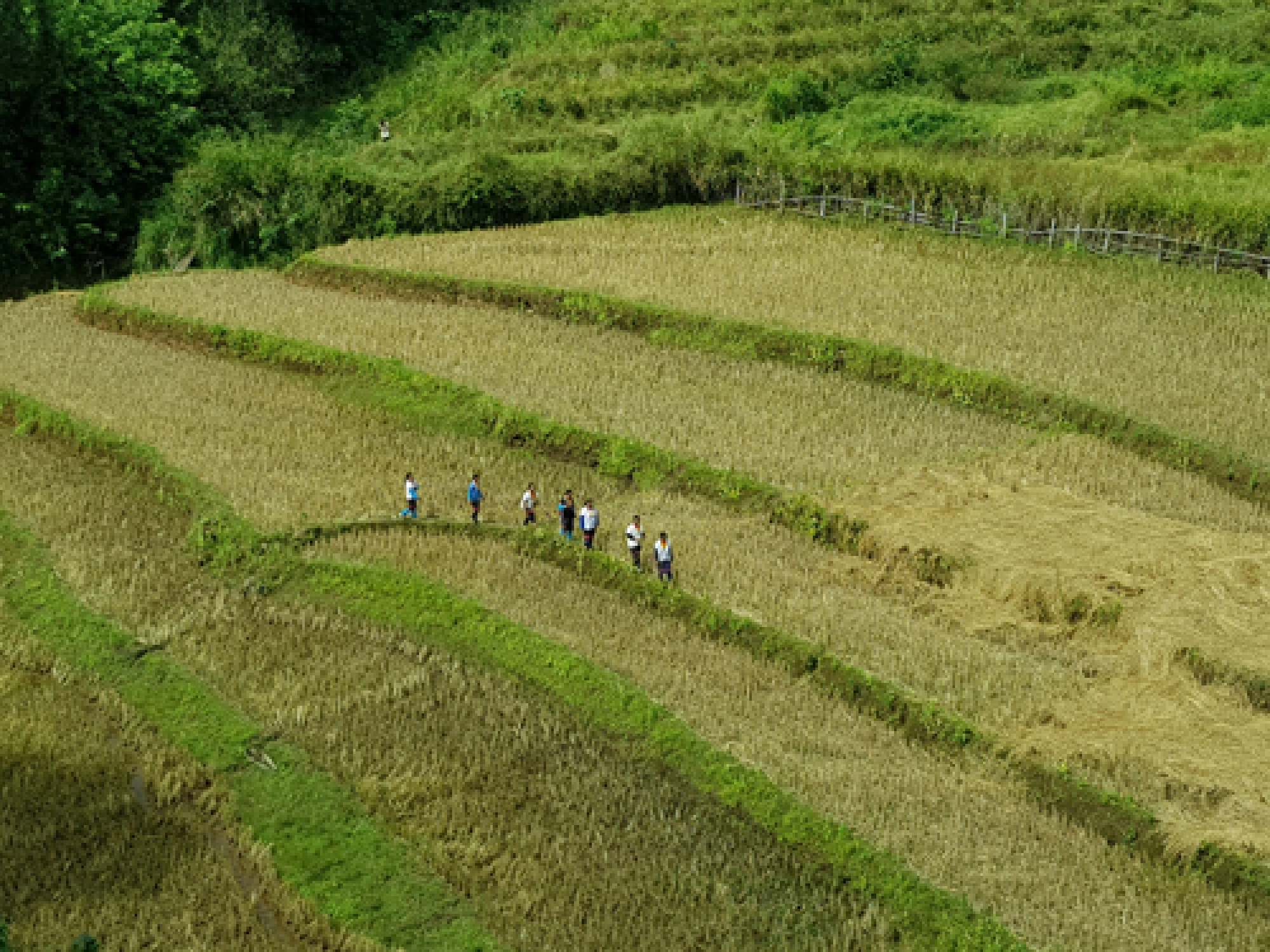 Weaving the threads of a unique life
