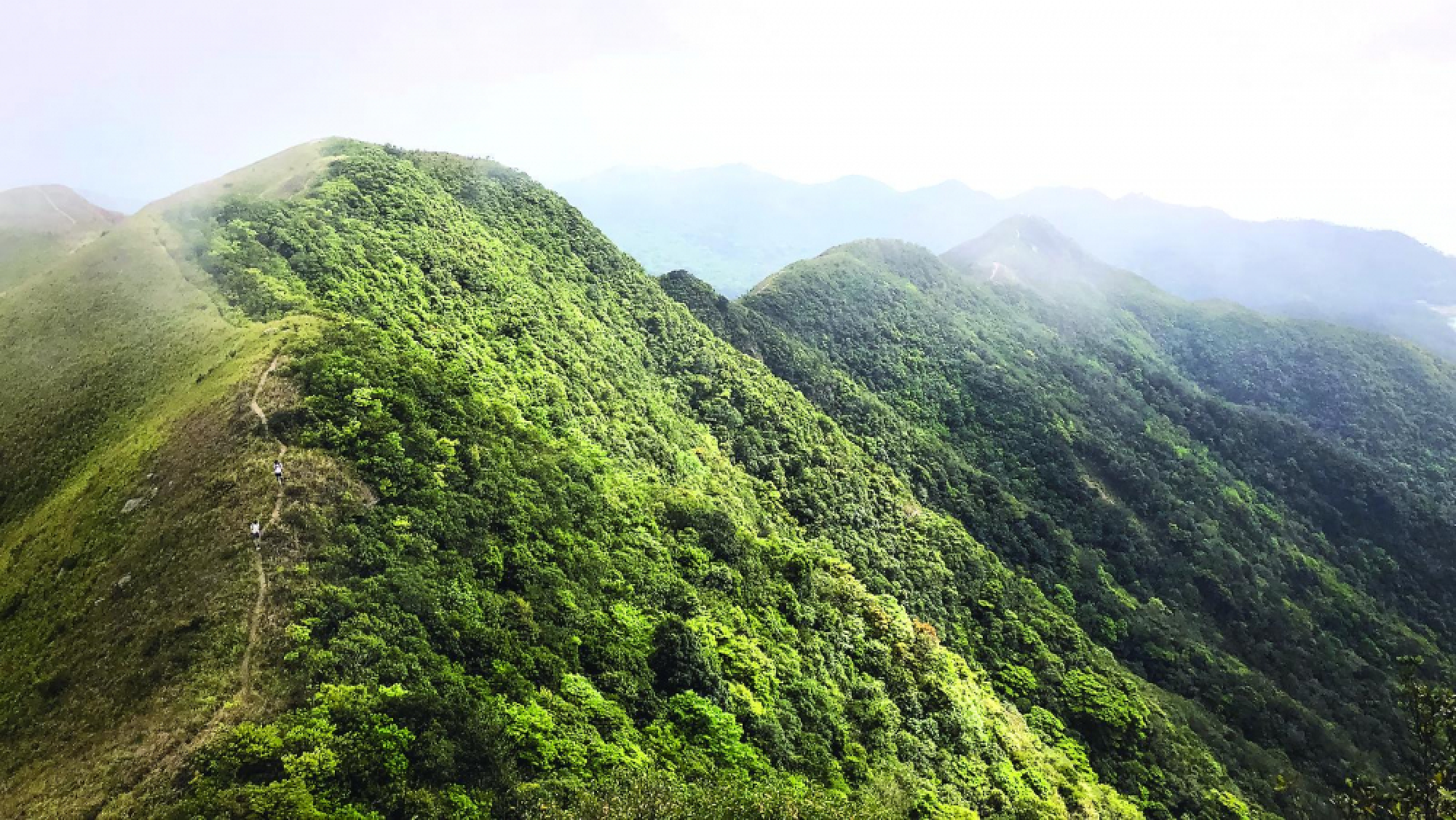 Hong Kong takes a hike
