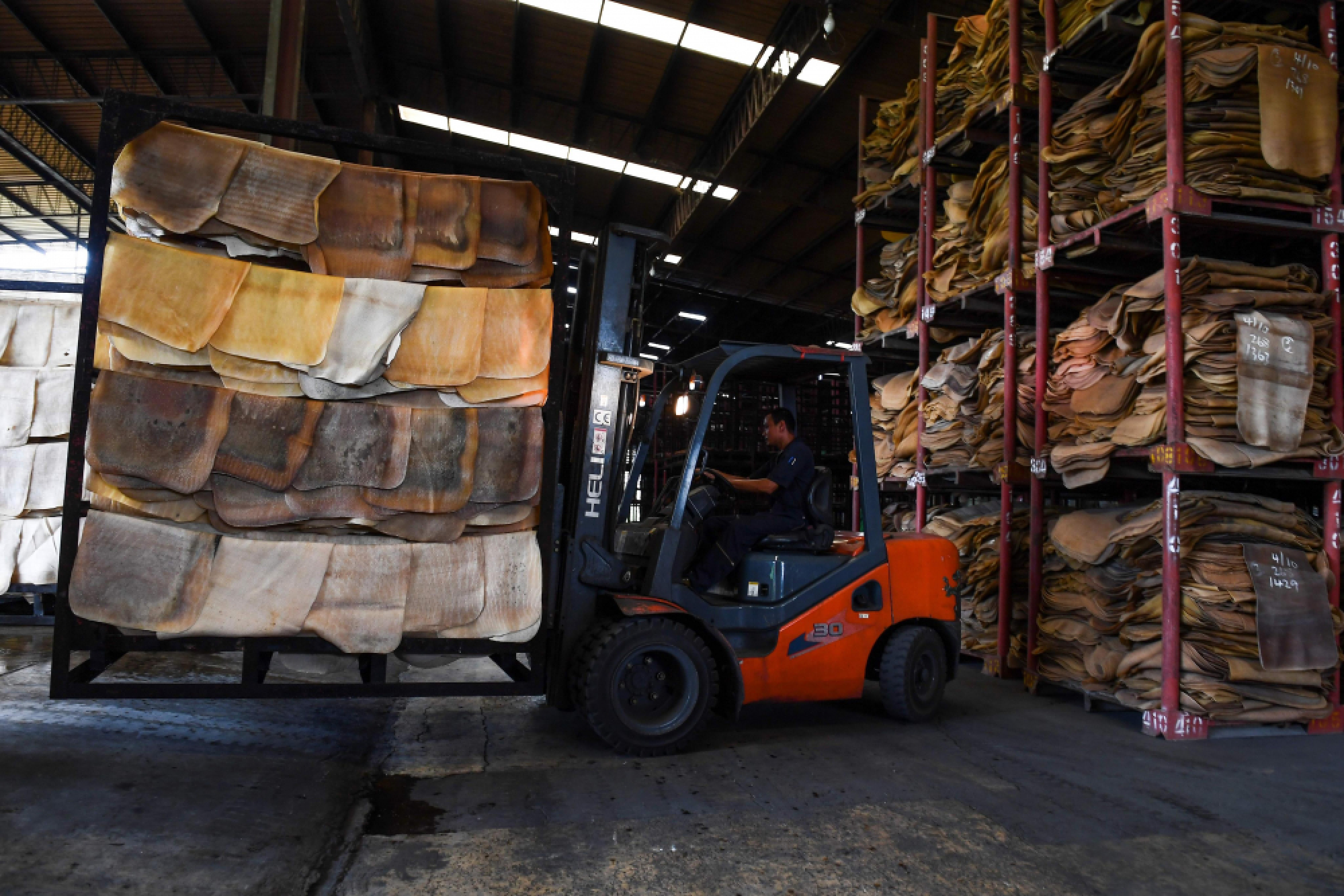 Thai rubber farms stretched as US-China trade war saps demand