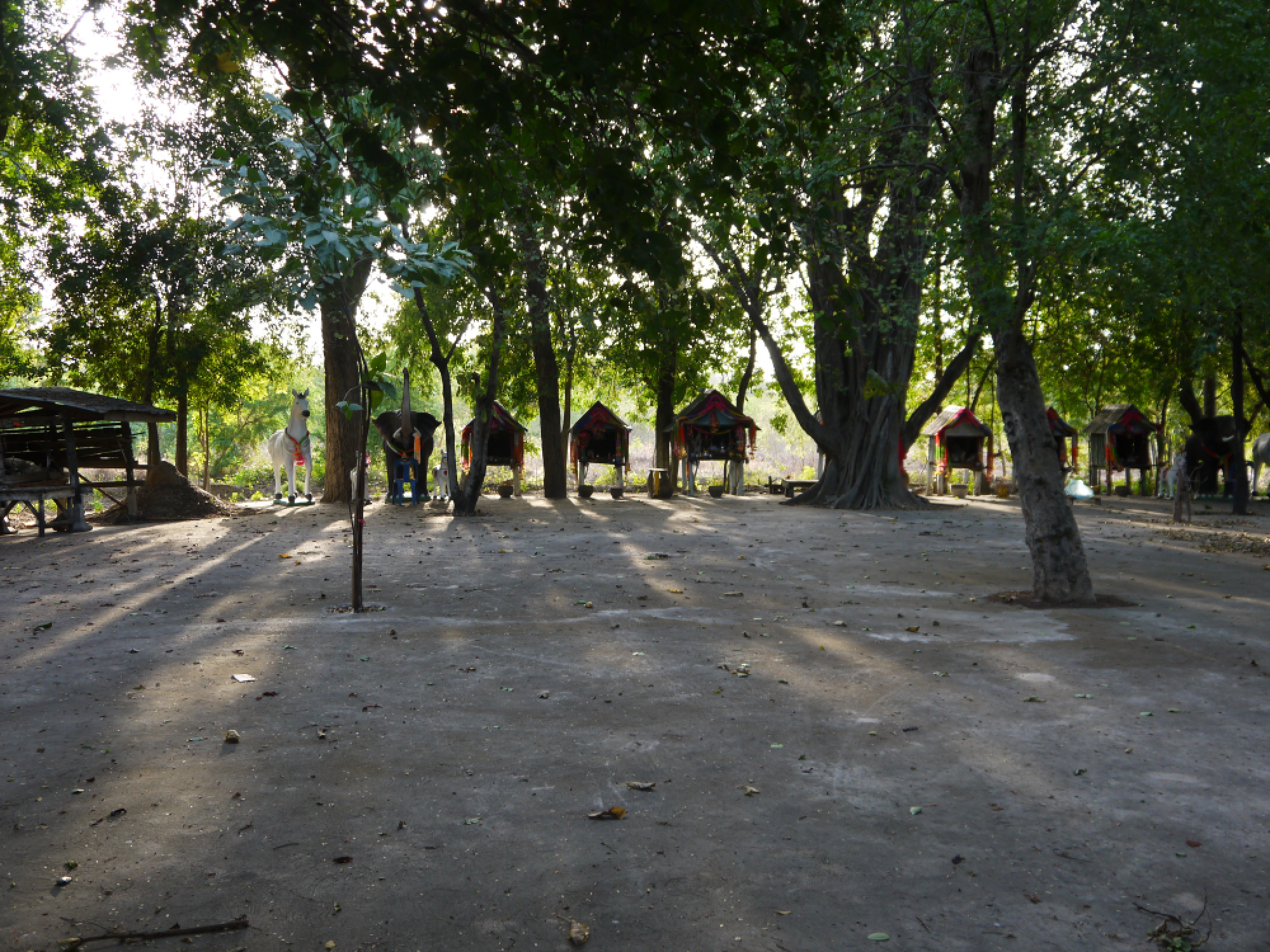 Surprised in Suphan Buri