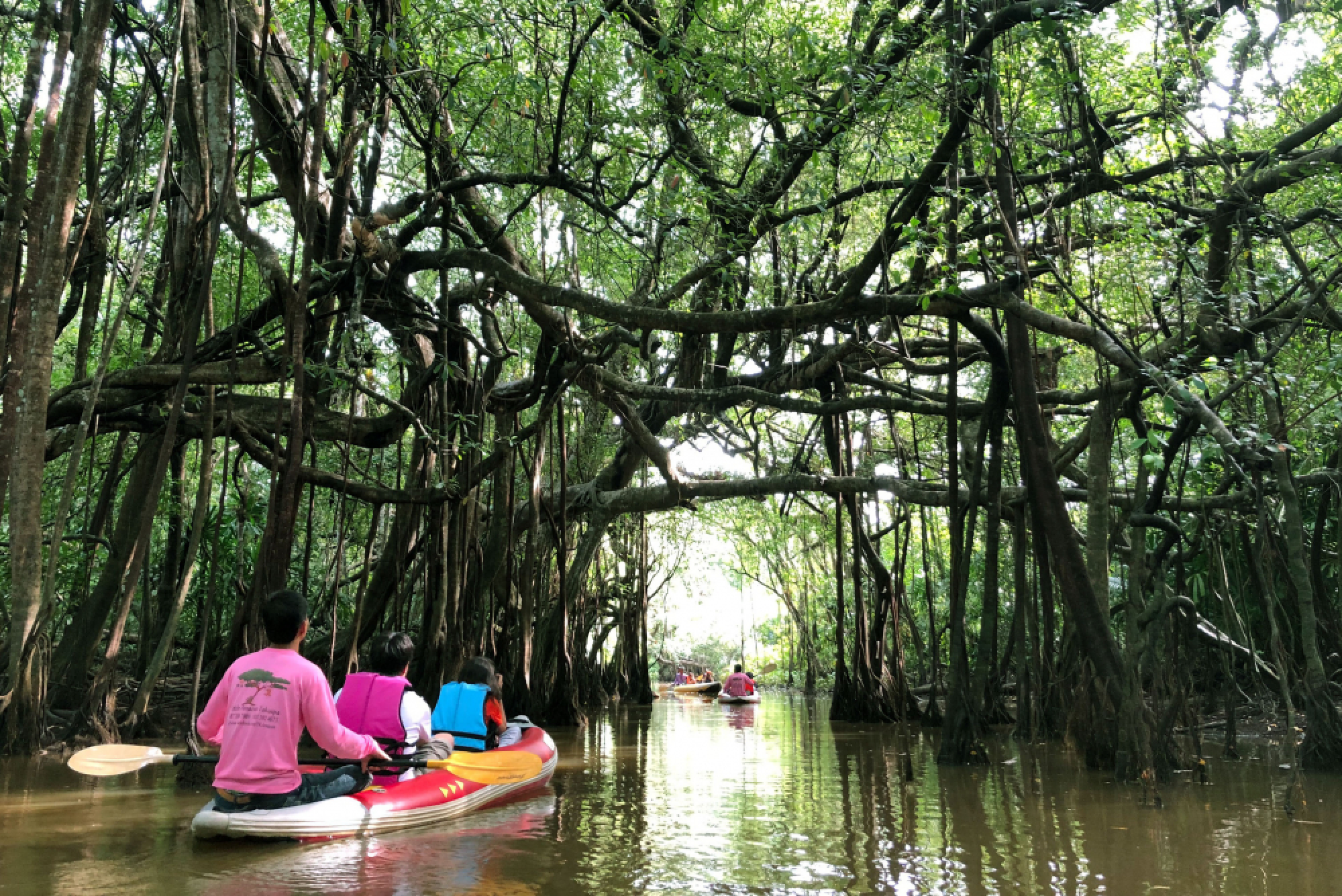 Wonders of the wide side