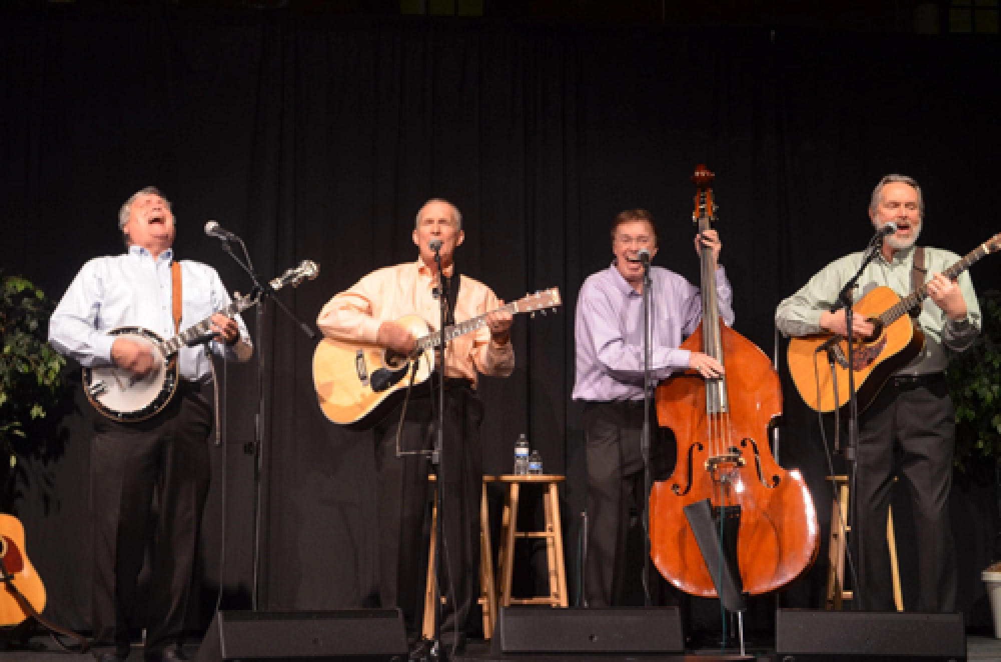 Gang of boyz on the way