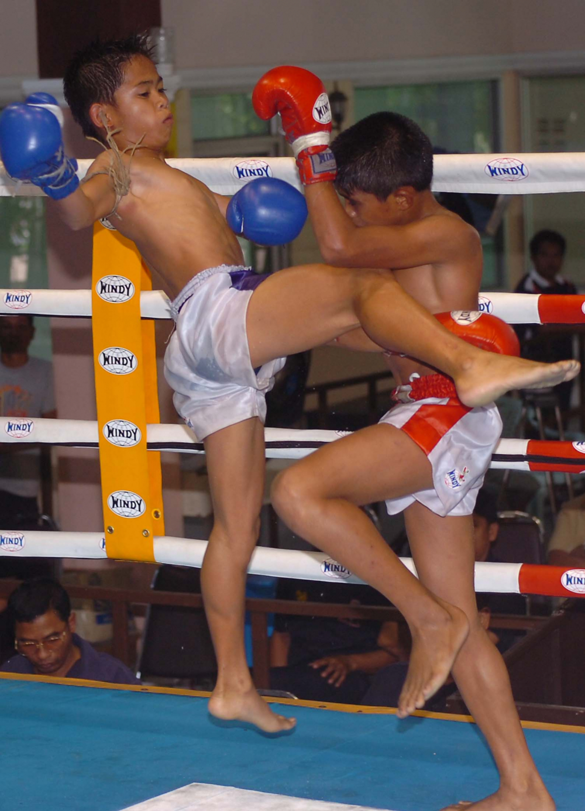 Doctors call for law banning child boxers