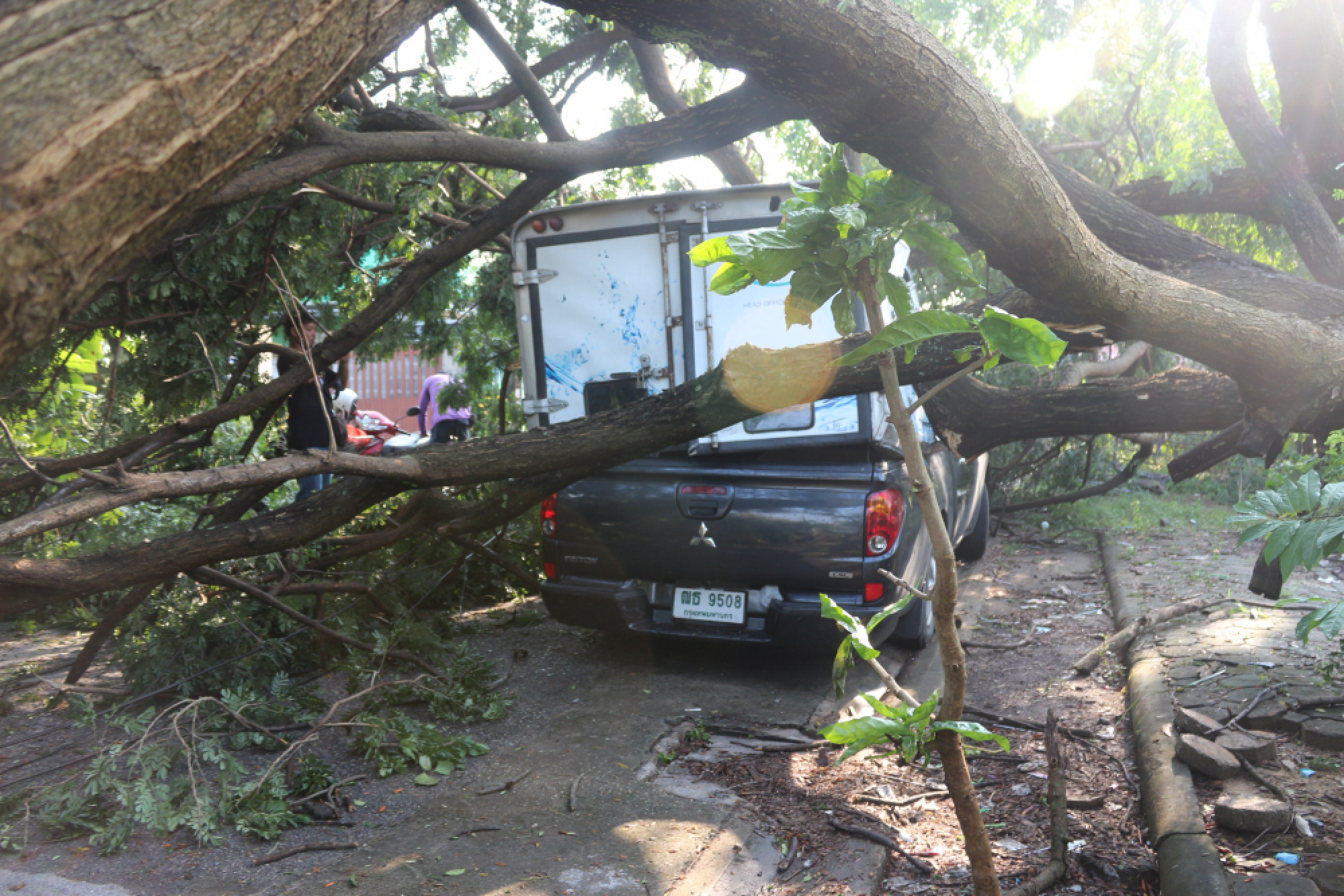 Storm hammers Pathum Thani