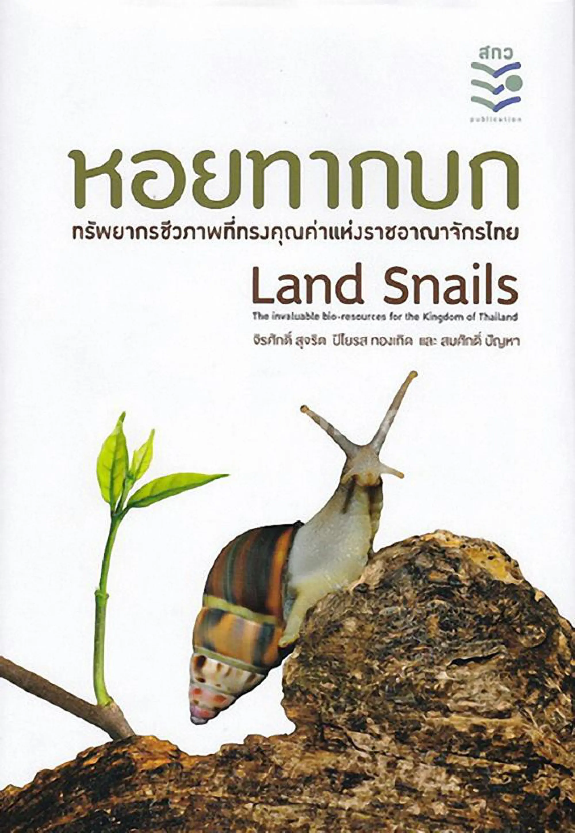 Beauty gel developing at a snail's pace