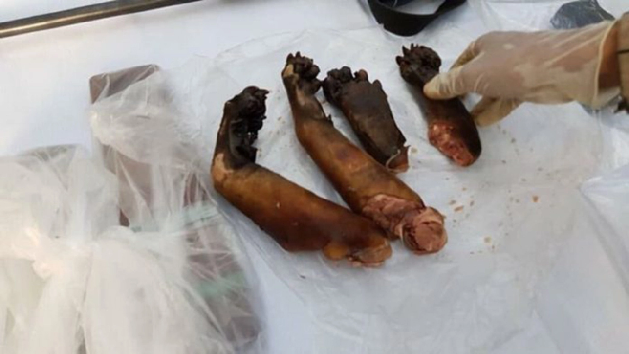 Senior district official arrested for alleged poaching in national park
