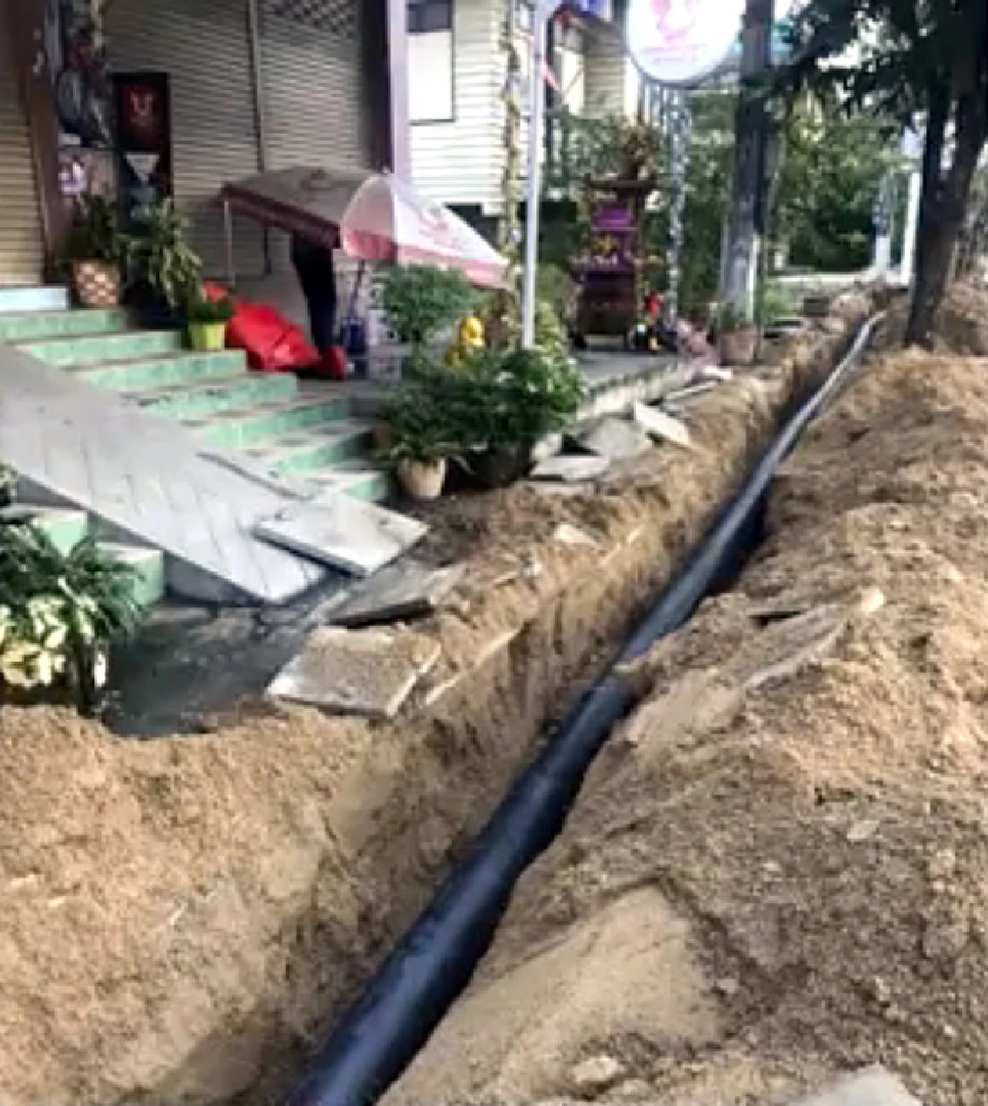 Dog pals electrocuted in Tak after power cable left uncovered