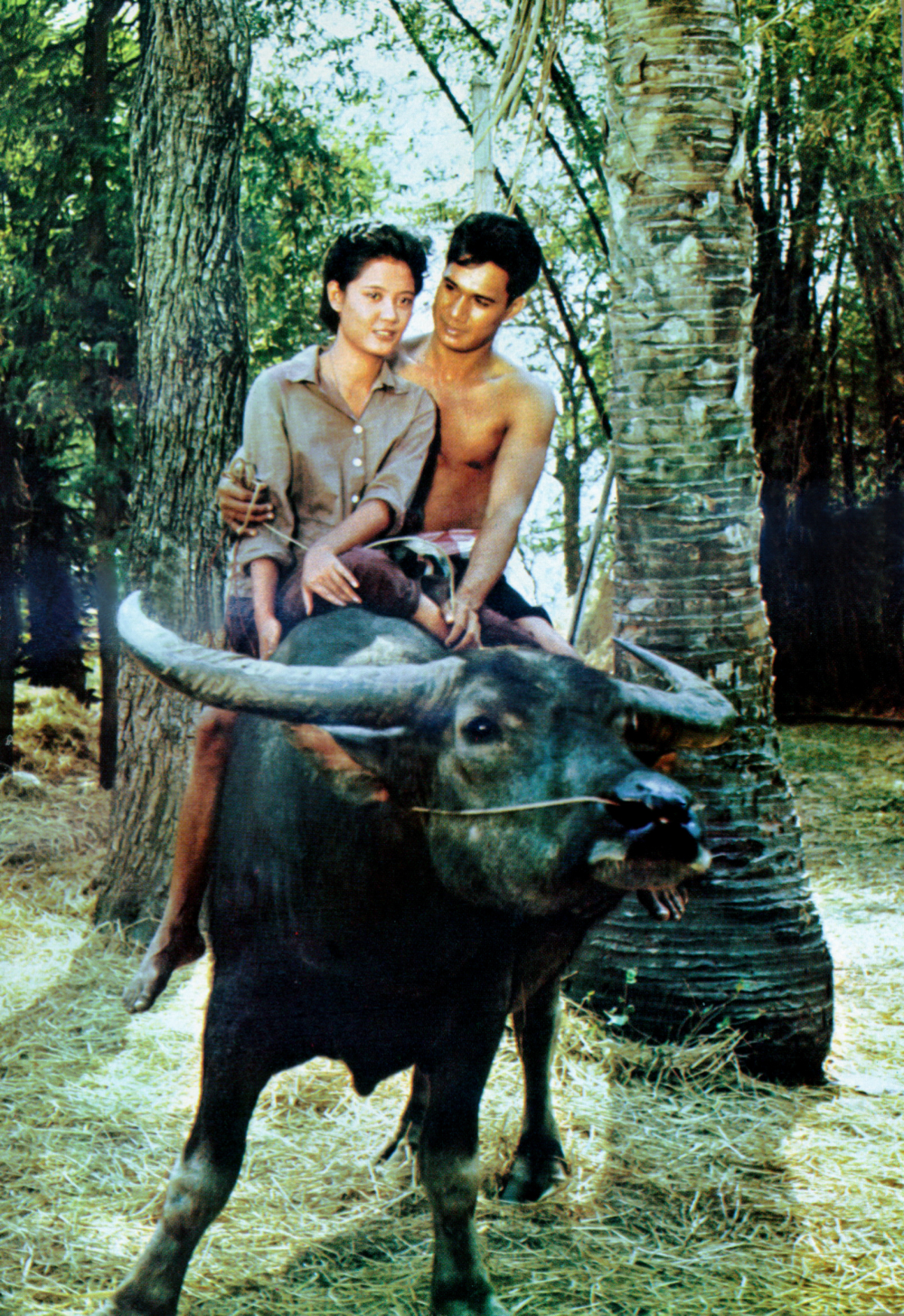 A love that never dies