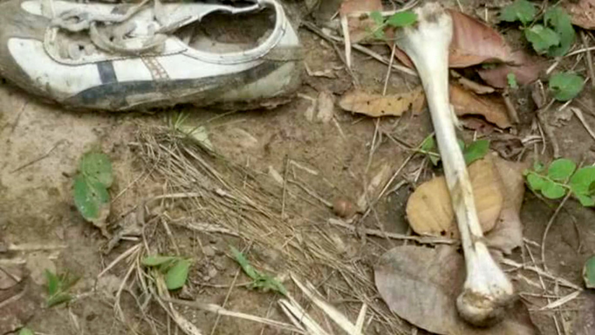Mysterious human skull, leg bones found in Buri Ram forest