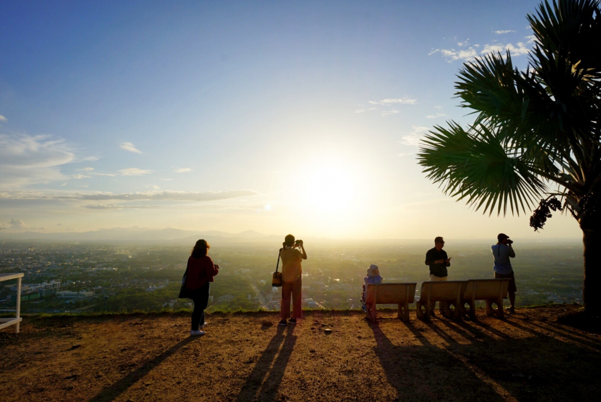 Sensations of the south