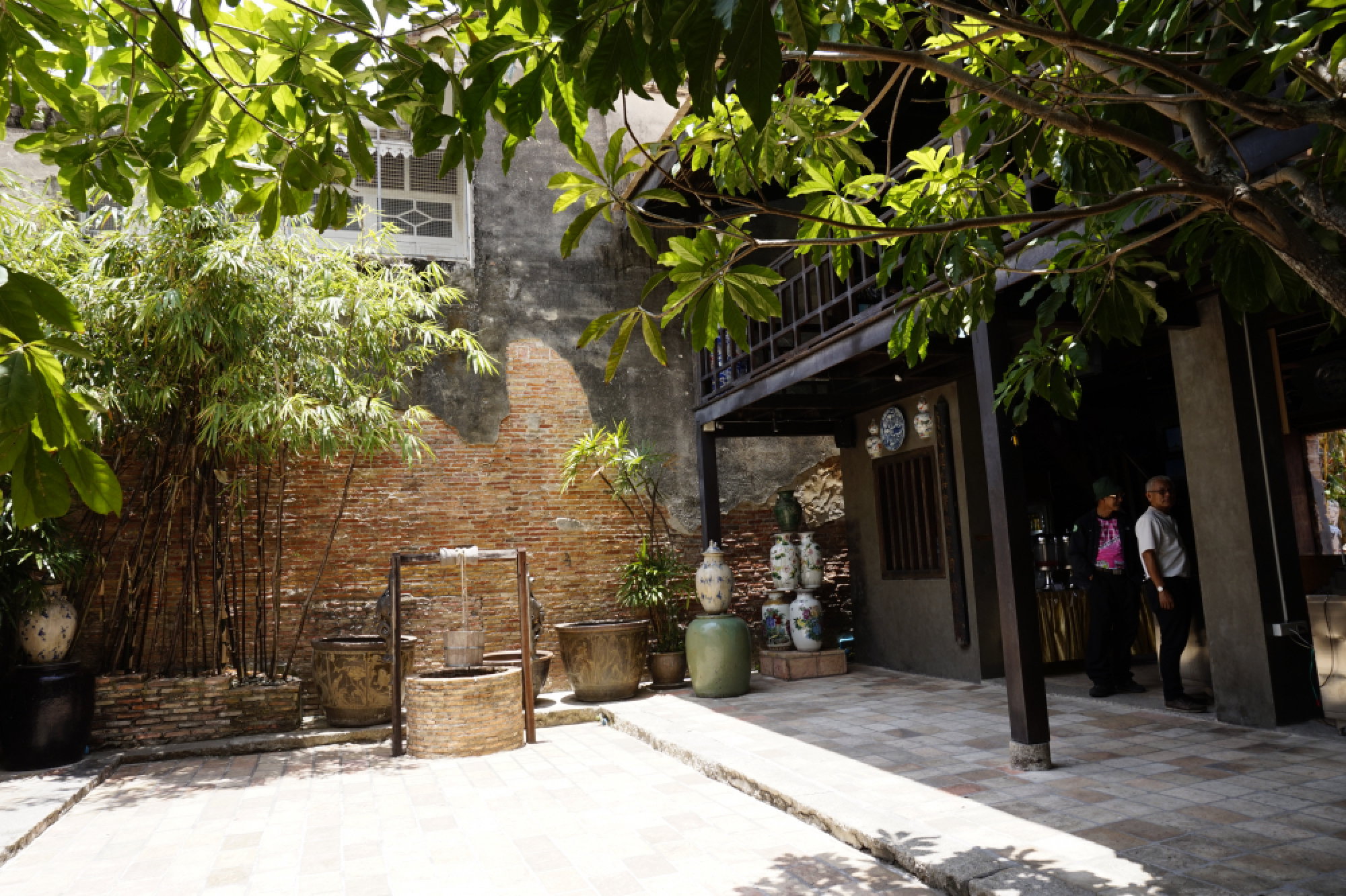 Sensations of the south