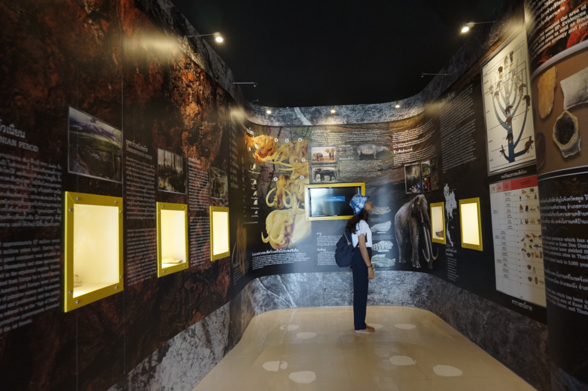 Sensations of the south