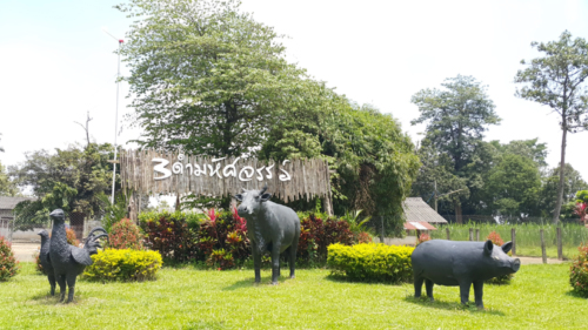 Serenity in Sakon Nakhon