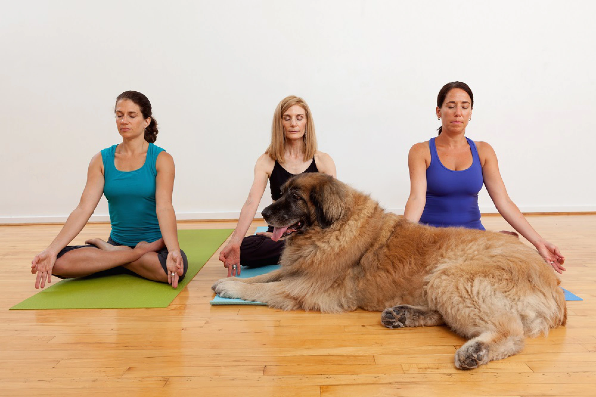 Workouts for the health-conscious