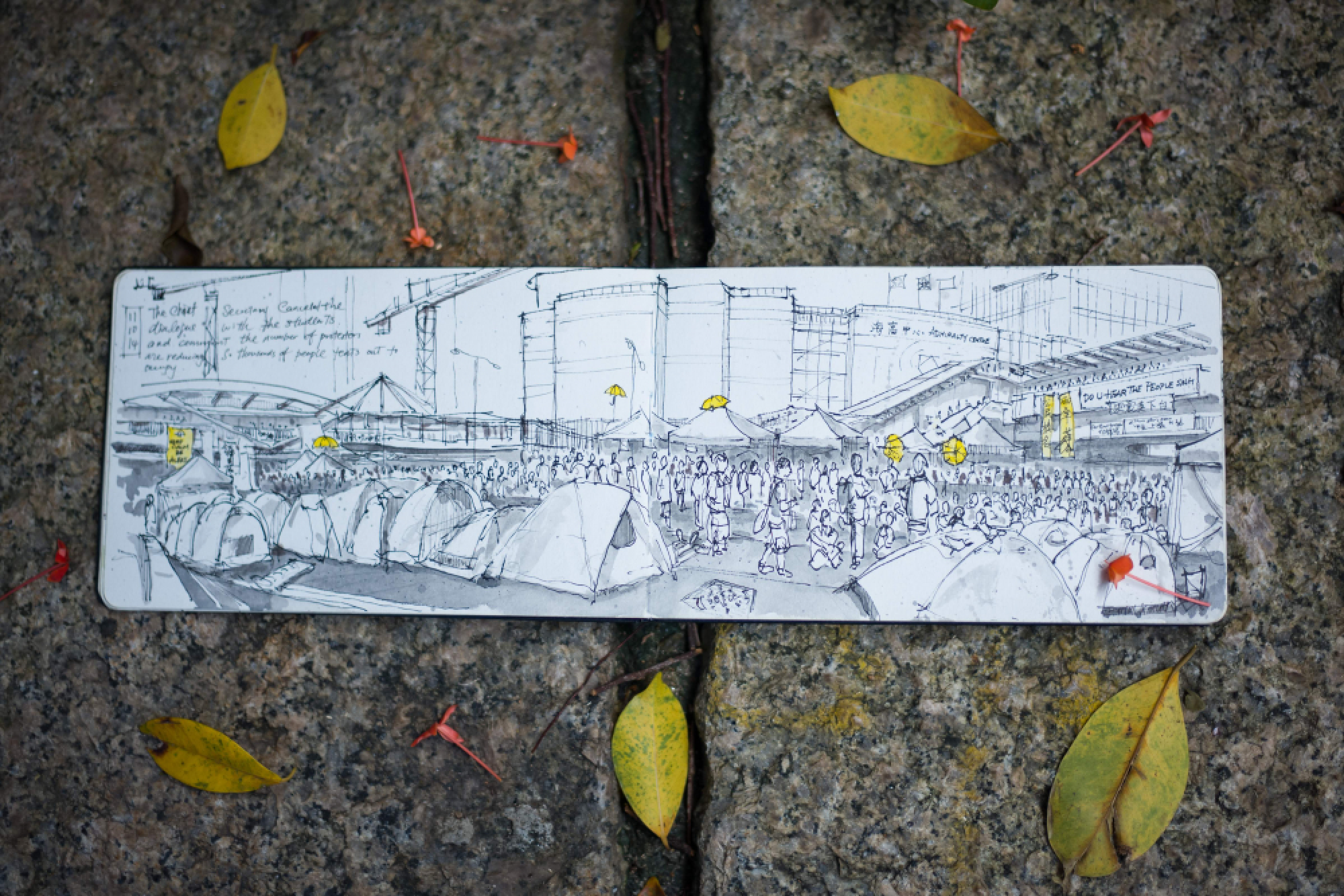 Pictures from a movement