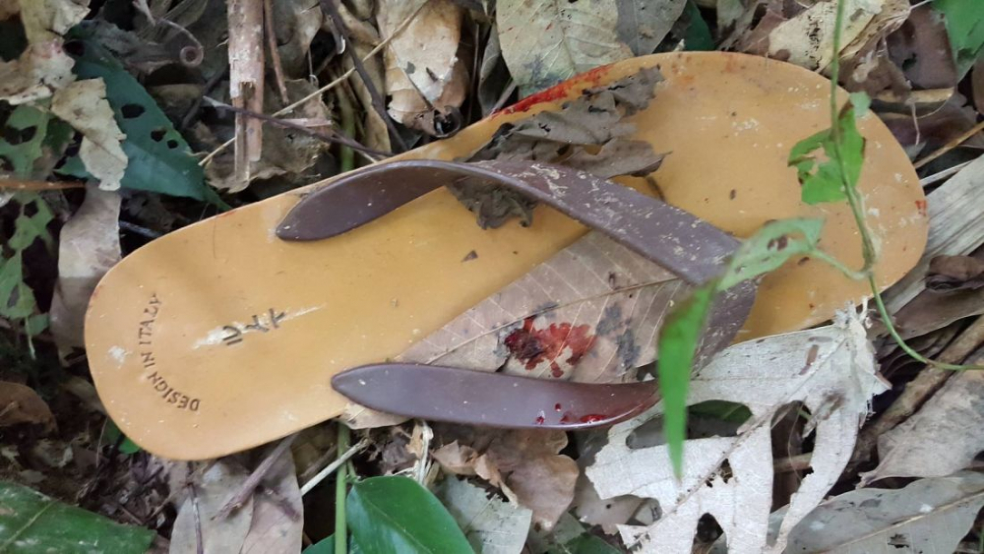 Tourist seriously injured in ATV accident