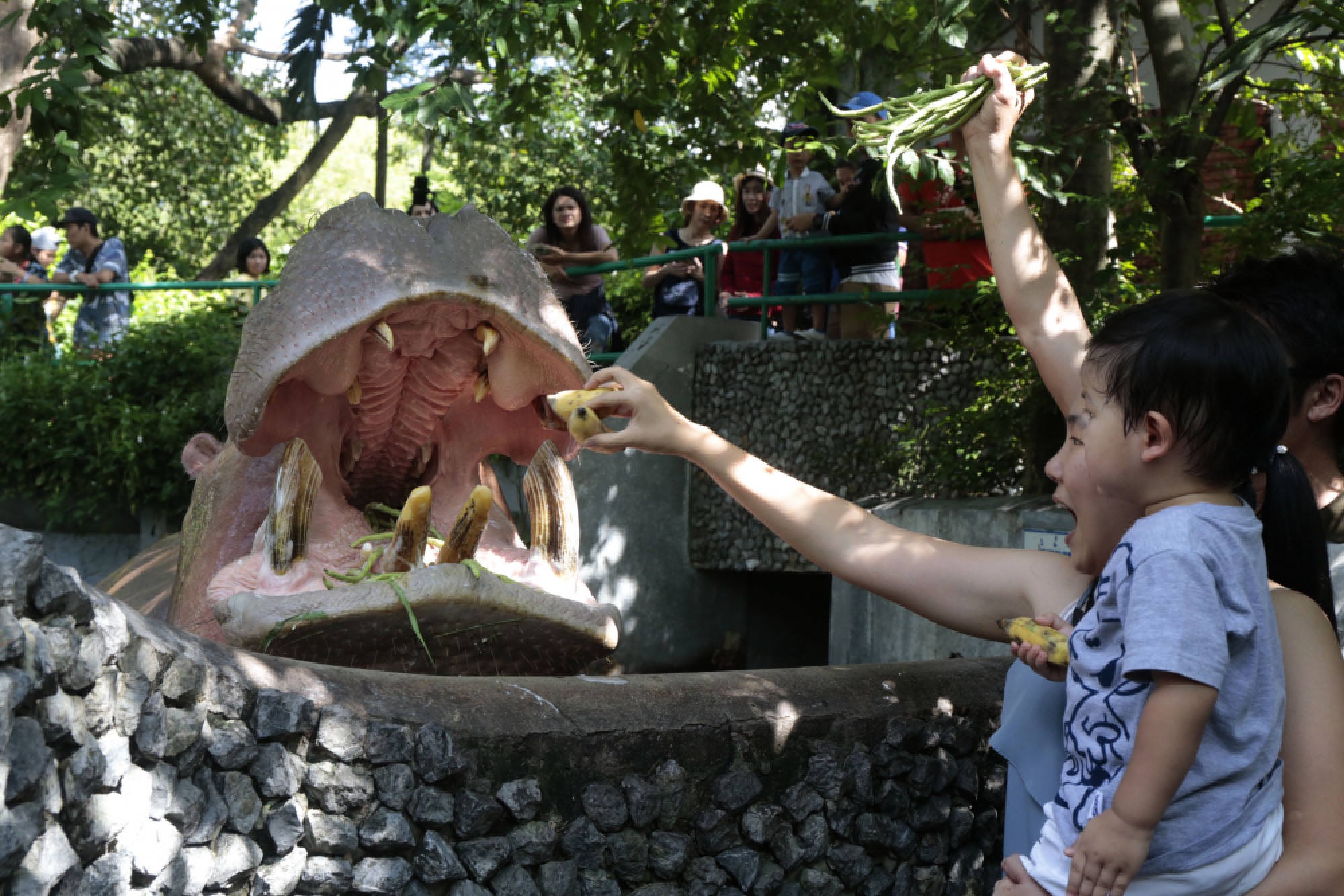 Thanks for the memories – a fond farewell to Dusit Zoo