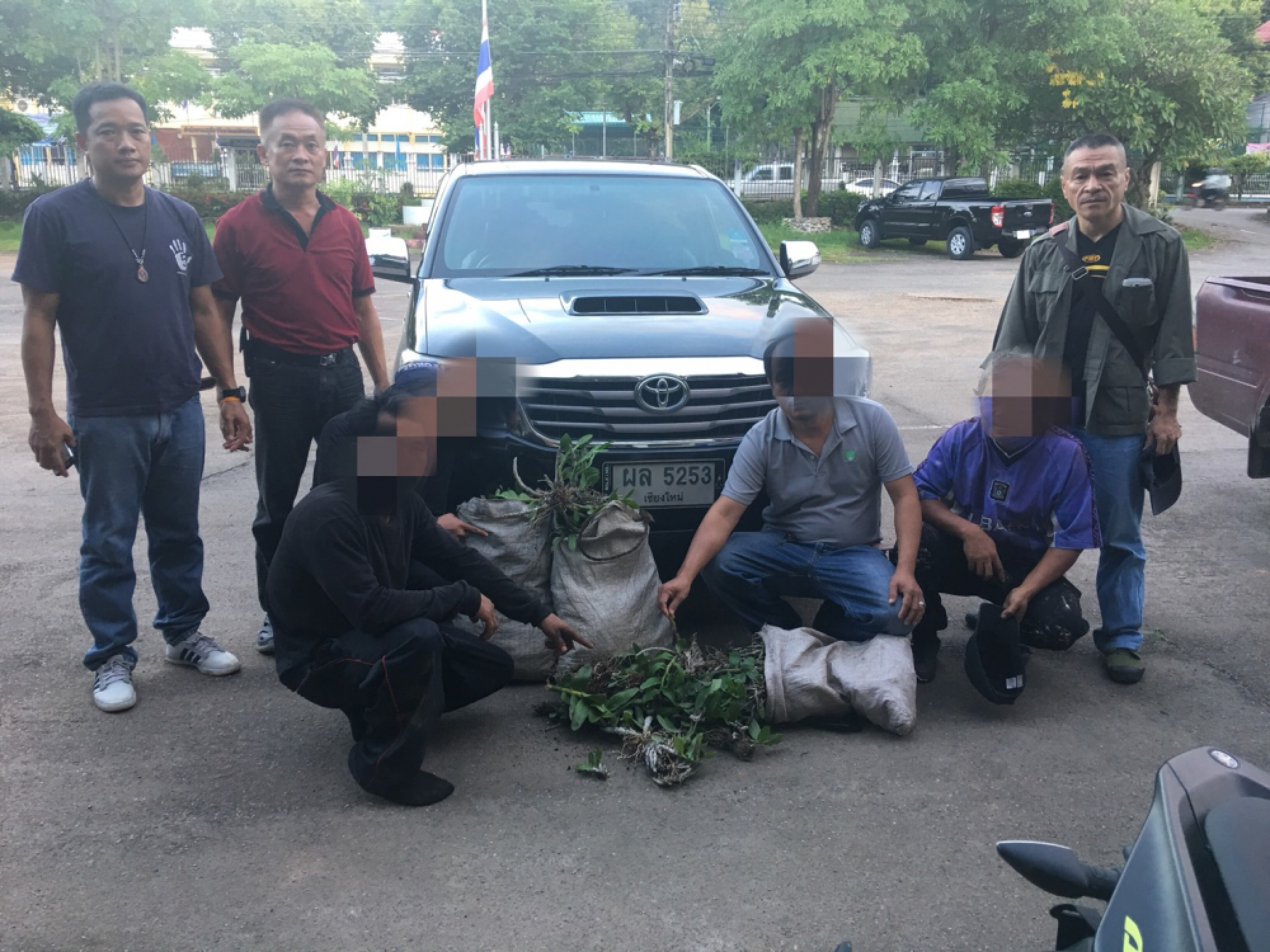 Four arrested for poaching wild orchids in Mae Hong Son