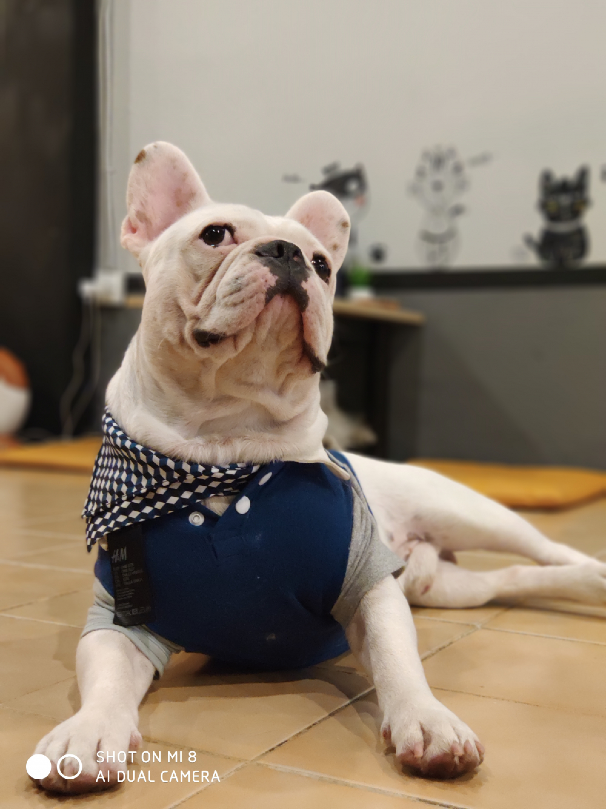 Beautiful shots every time