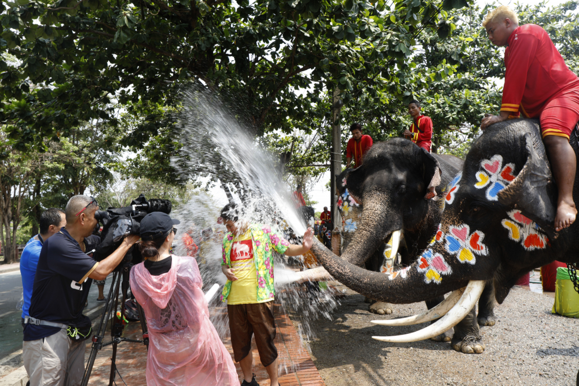 Water battles with elephants kick off festivities