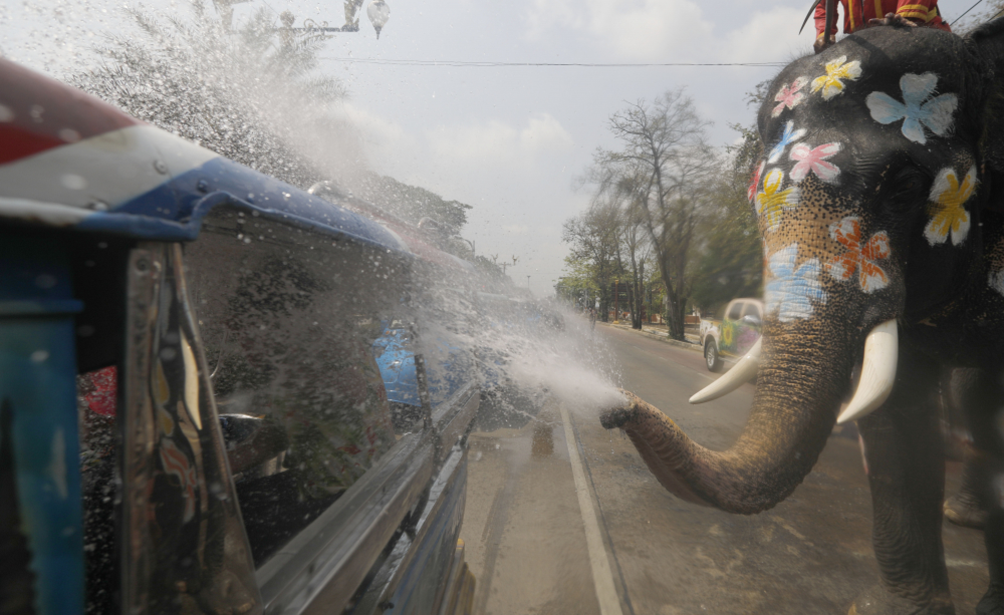 Water battles with elephants kick off festivities