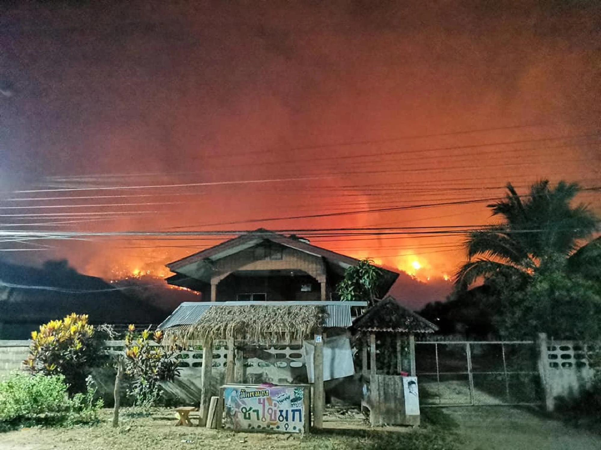 New rash of forest fires in the North likely to be arson, Army says