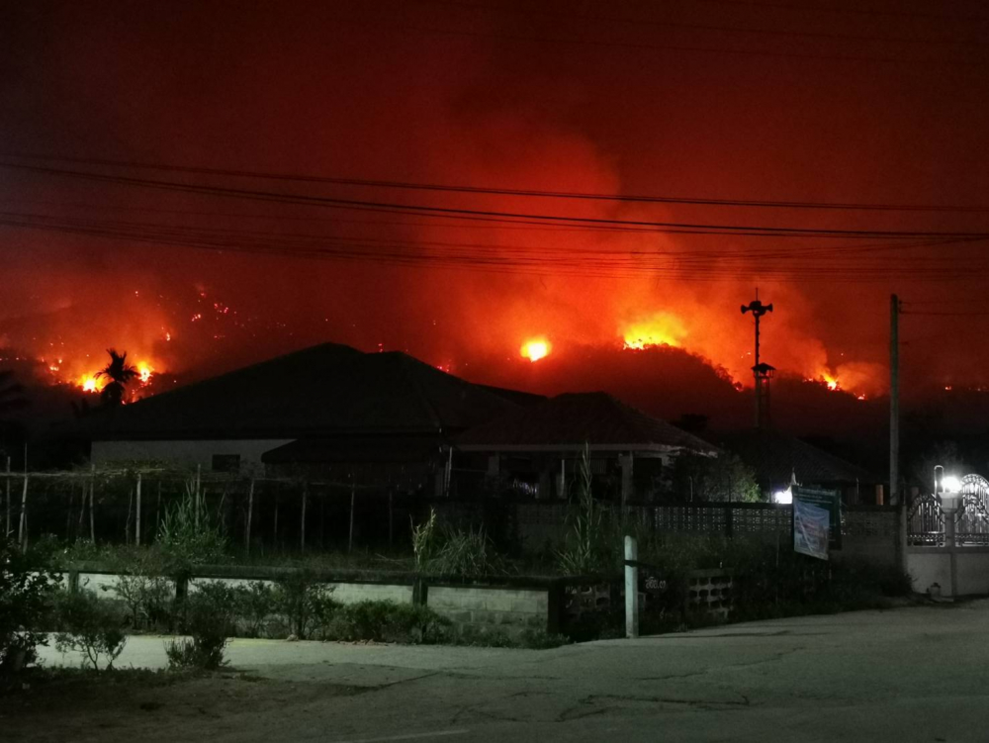 New rash of forest fires in the North likely to be arson, Army says